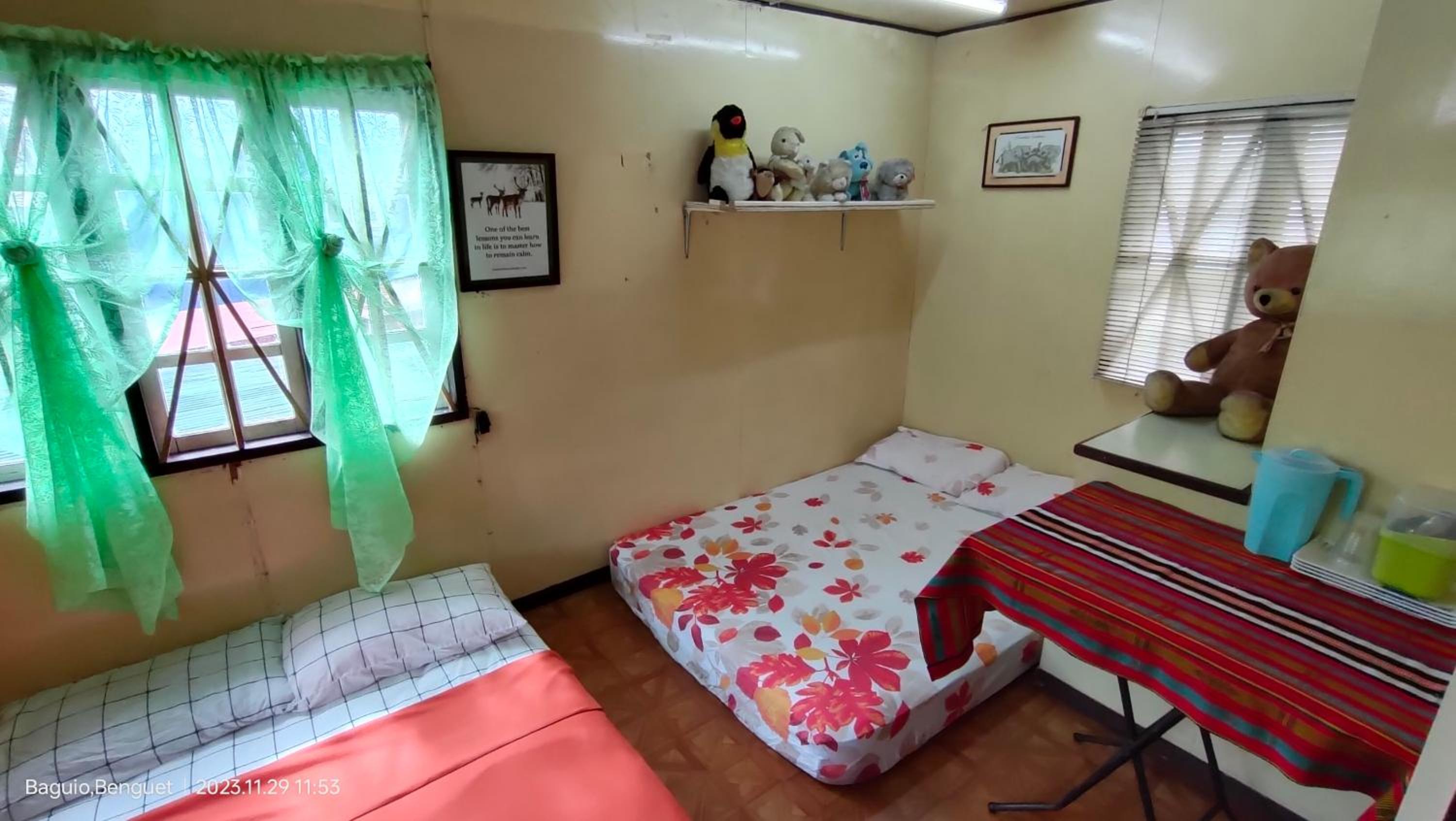 Kochimoto Homestay view 4