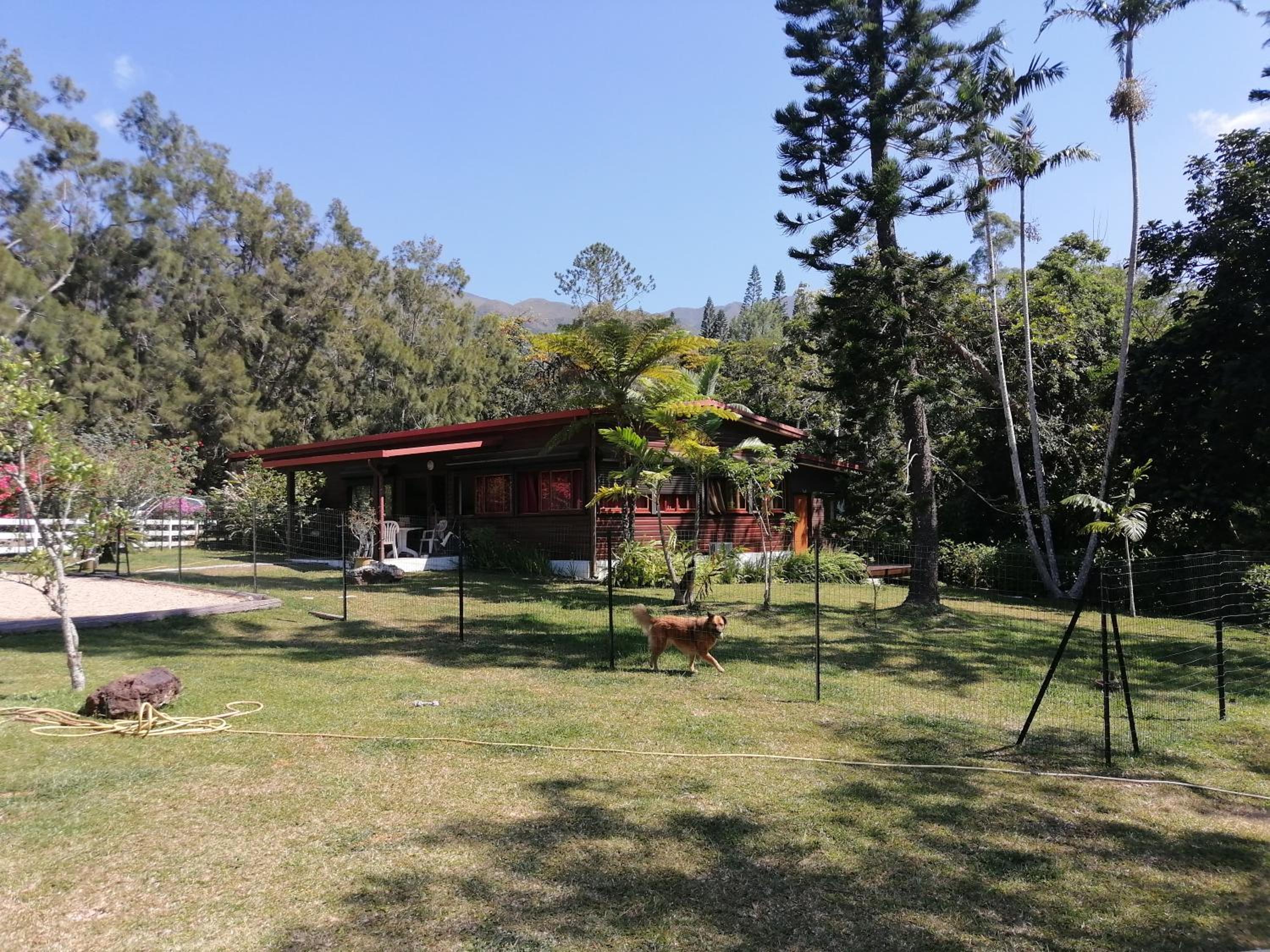Photo 15
