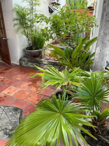 Đồng Phát Homestay view 5
