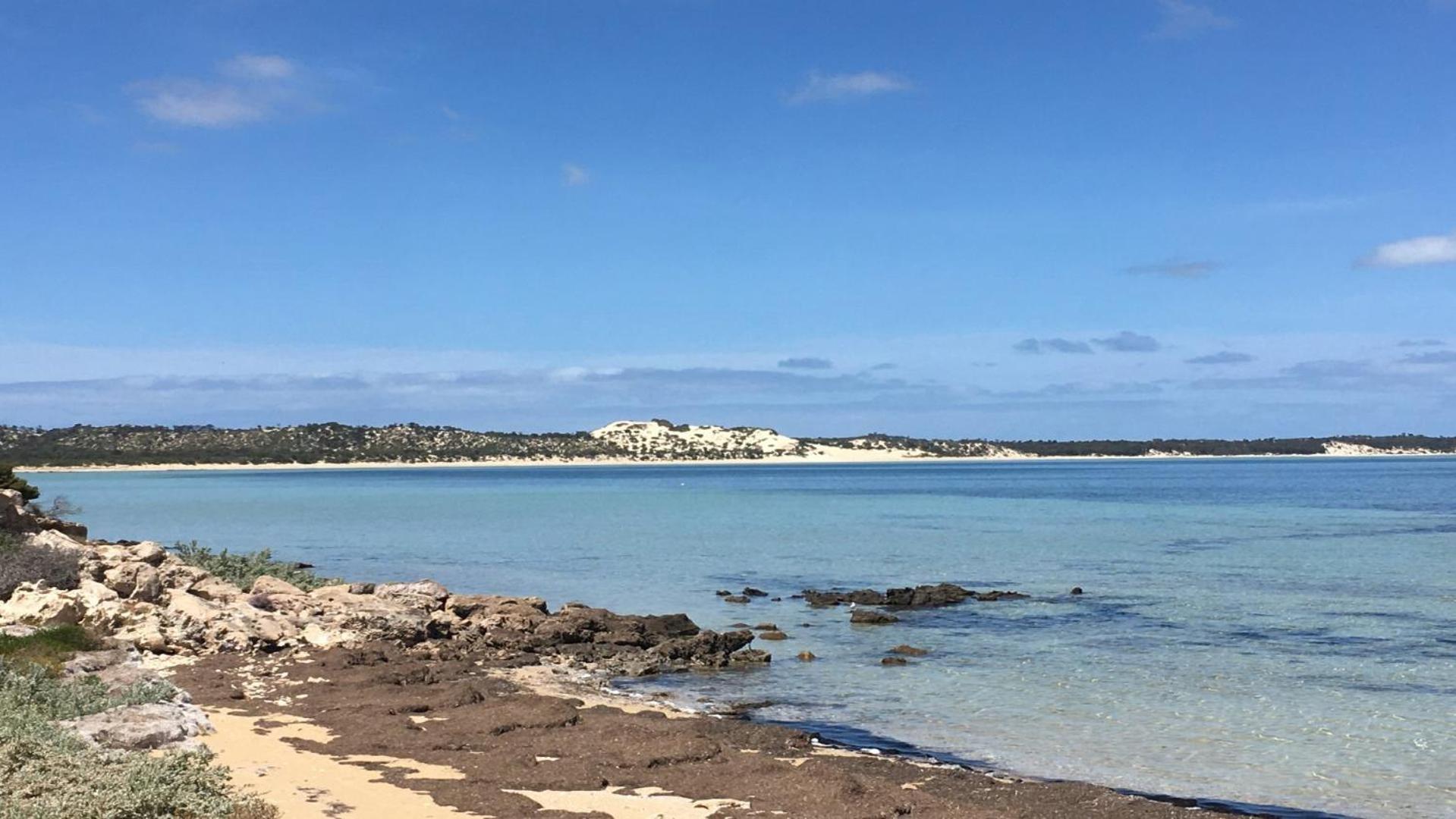 Island View 2