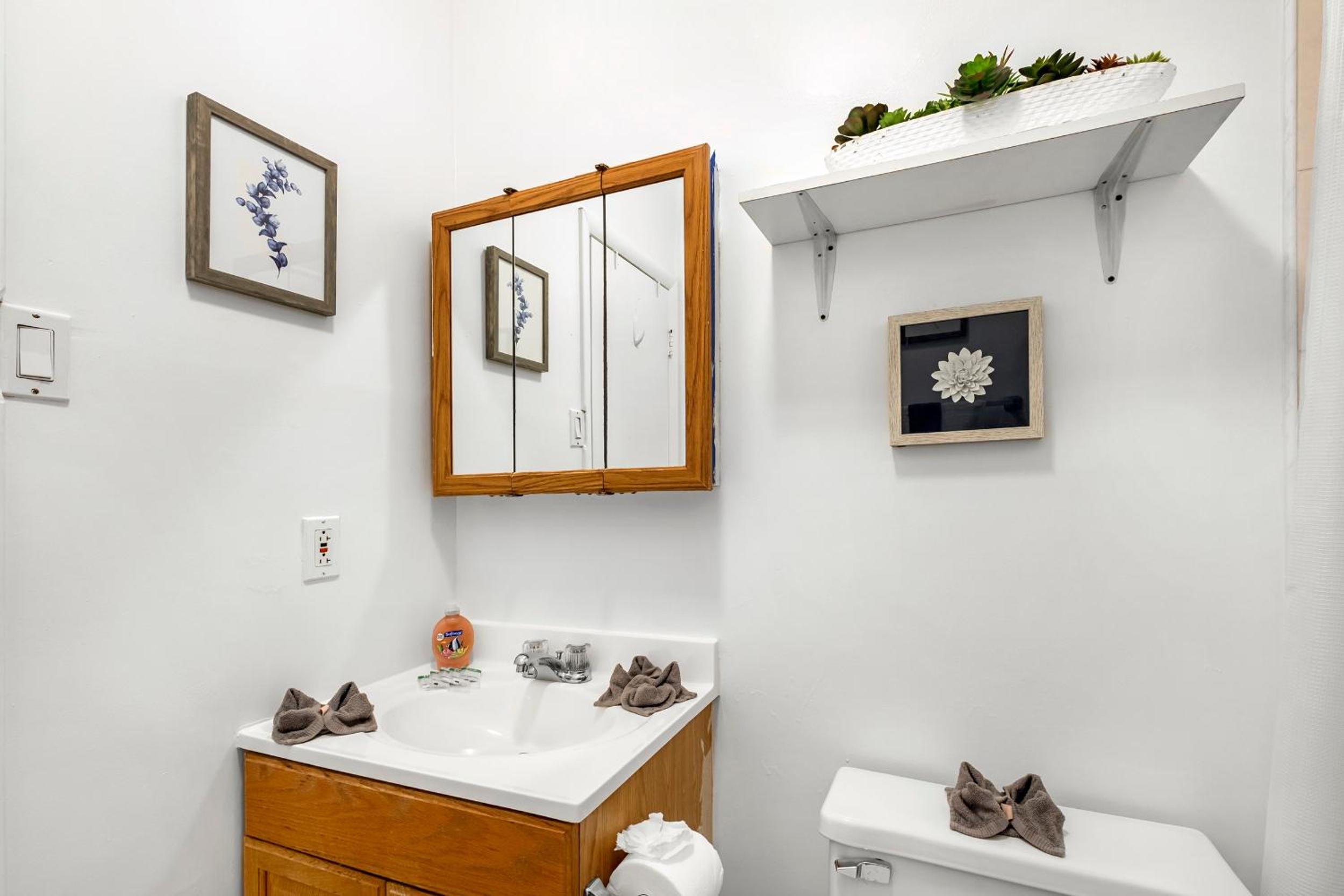 Full Private Studio W Yard