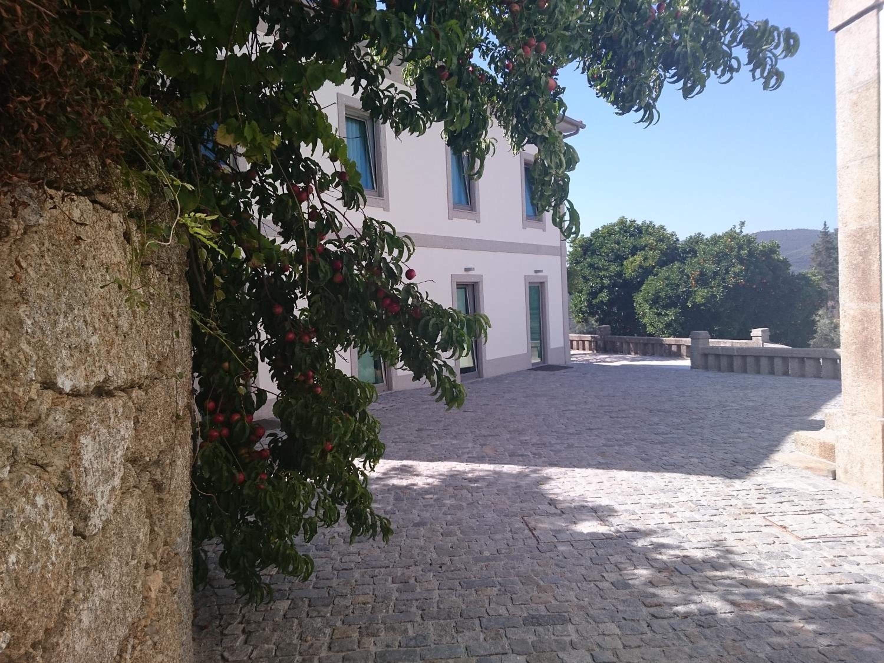 Photo 38
