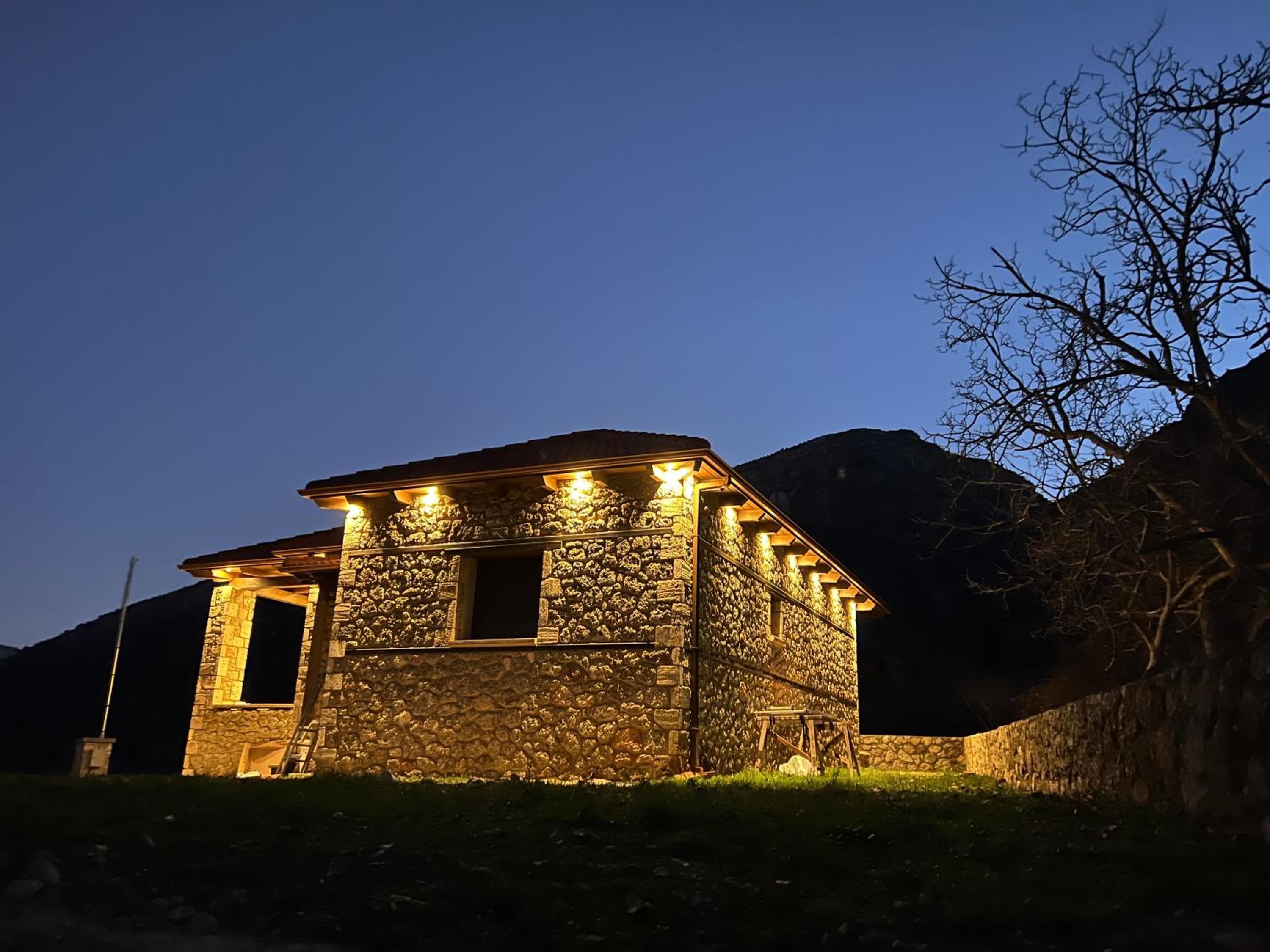 Forest House