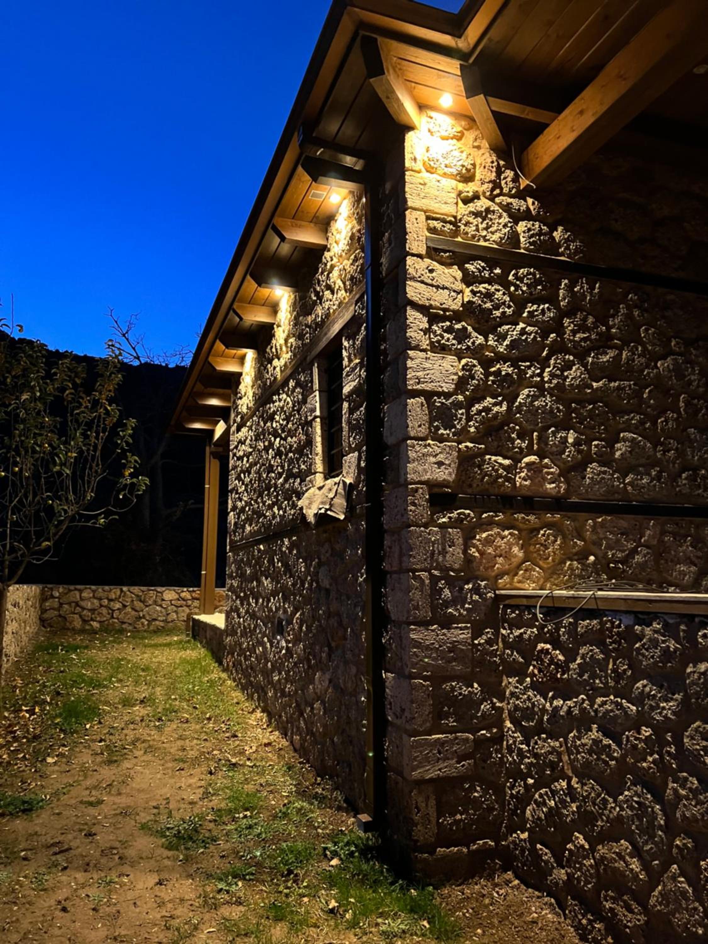 Forest House