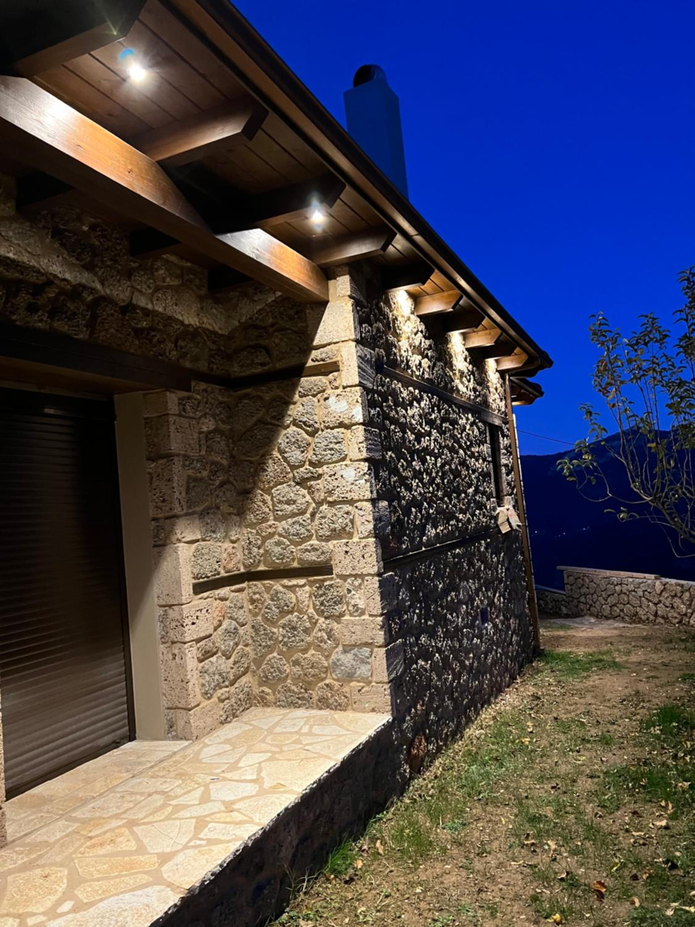 Forest House