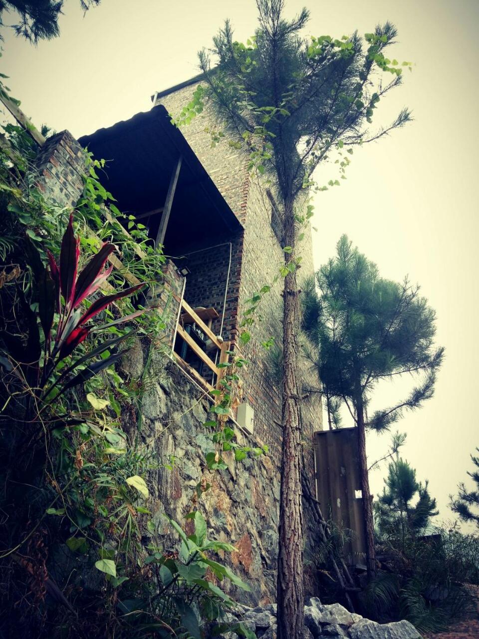 Photo 15