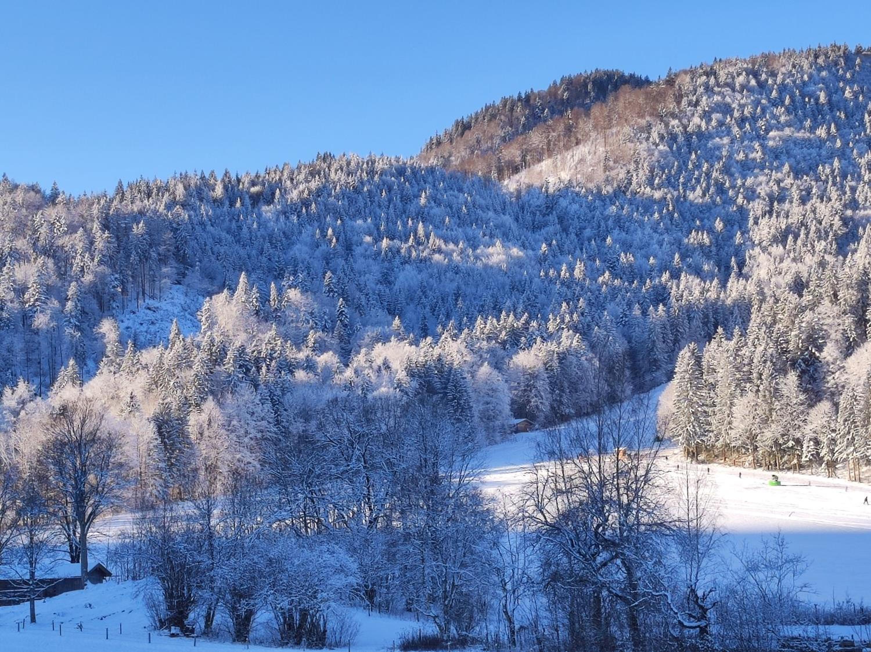 Ferienwohnungen Rohnbogner