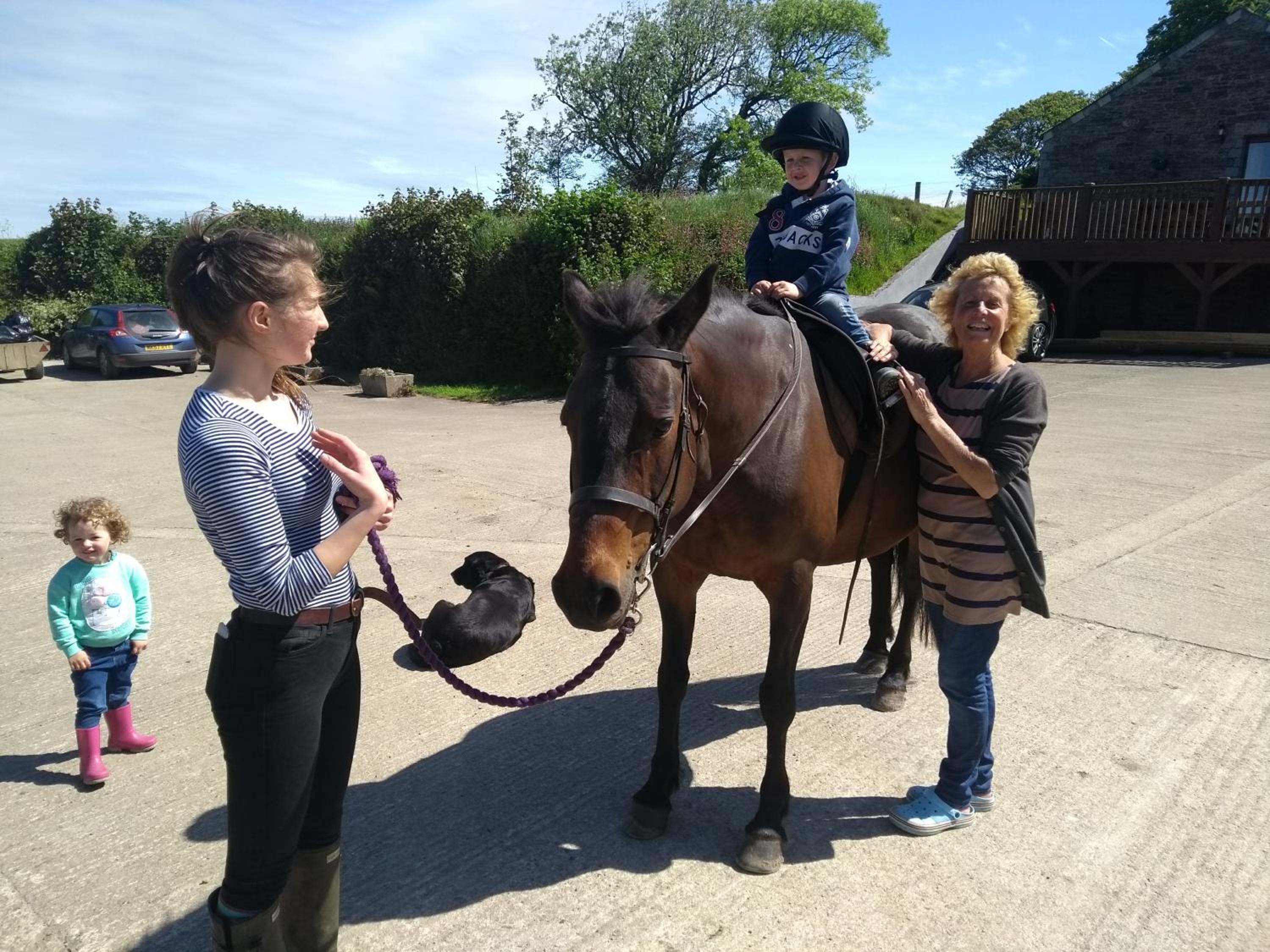 Fentrigan Manor Farm & Holiday Cottages