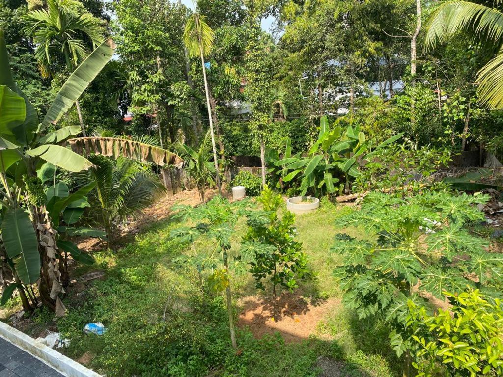 Photo 28