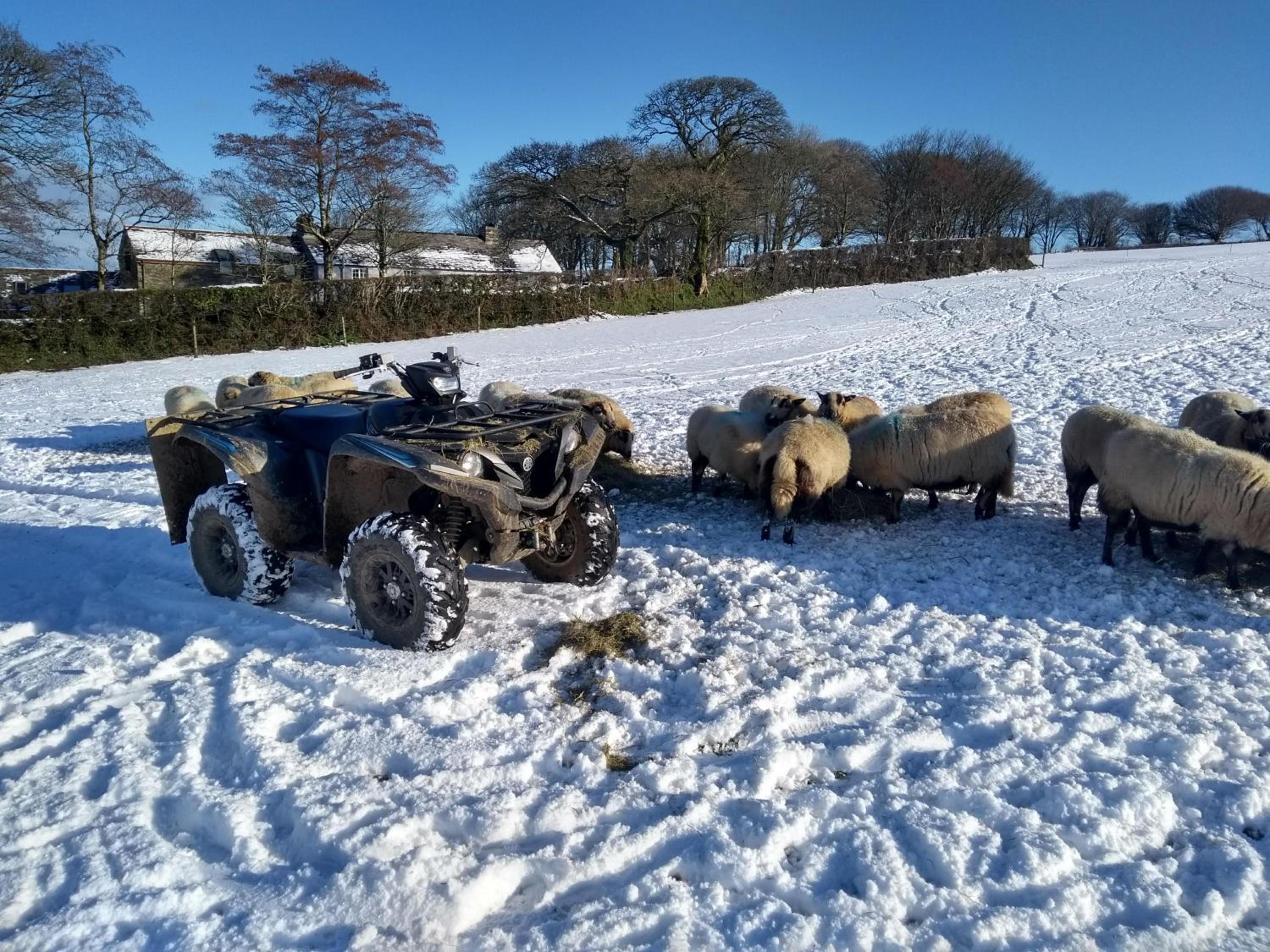 Fentrigan Manor Farm & Holiday Cottages