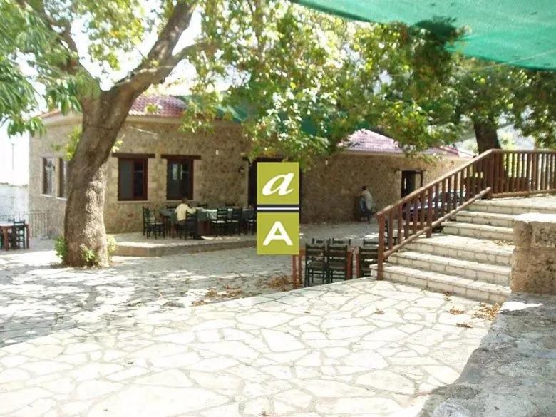 Forest House