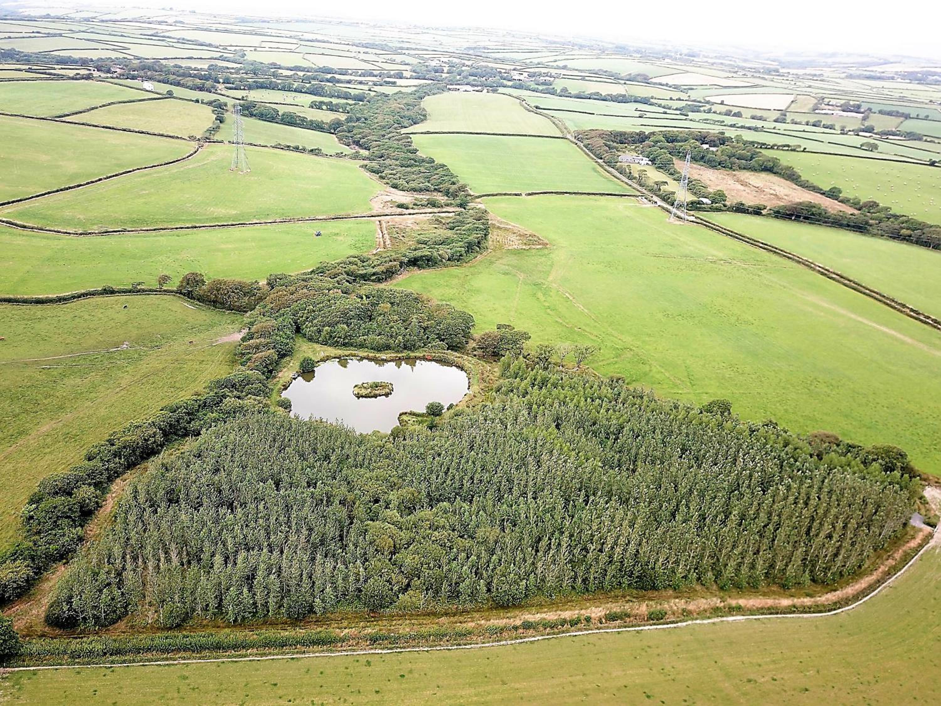Fentrigan Manor Farm & Holiday Cottages