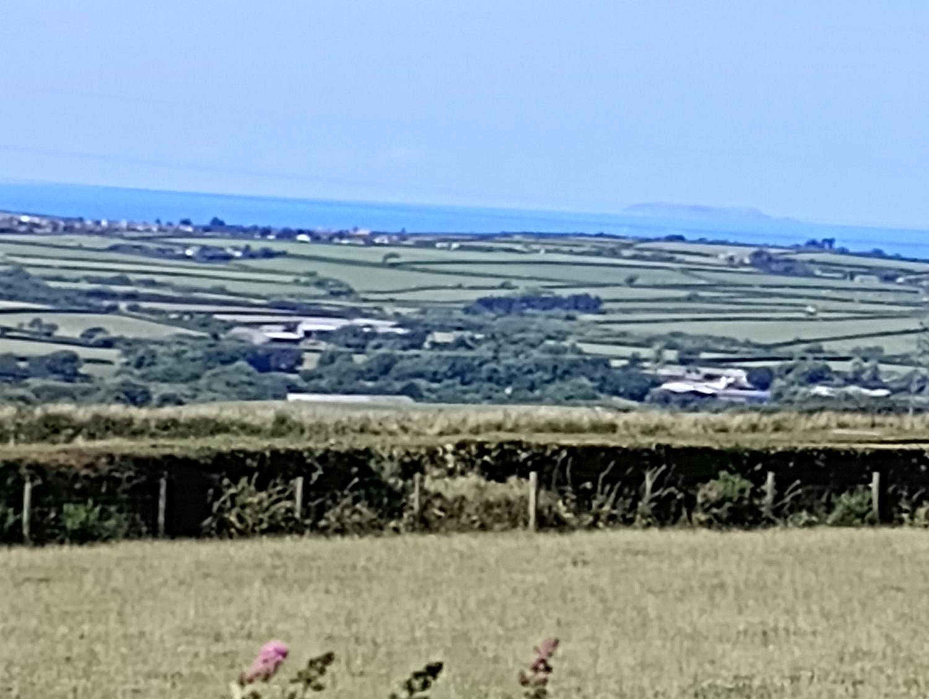 Fentrigan Manor Farm & Holiday Cottages