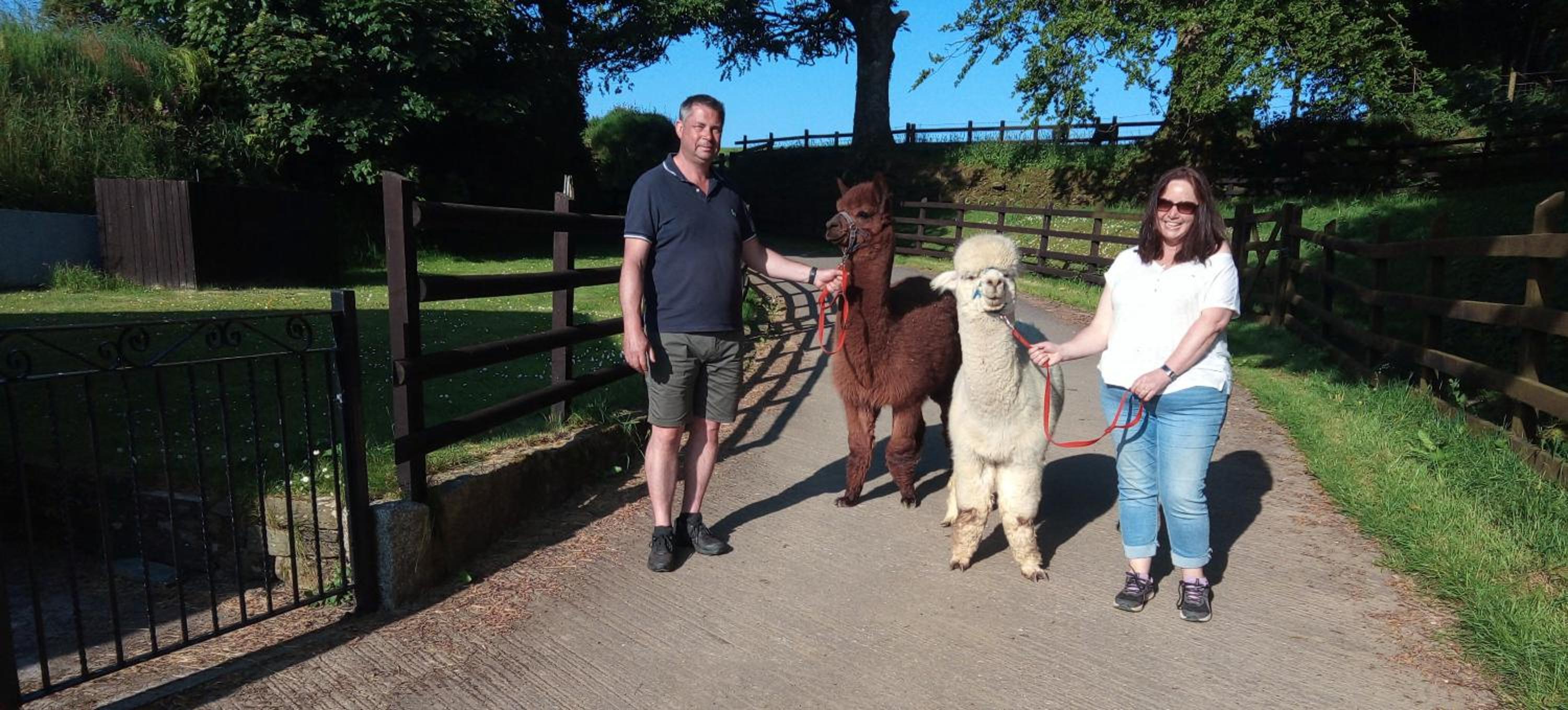 Fentrigan Manor Farm & Holiday Cottages