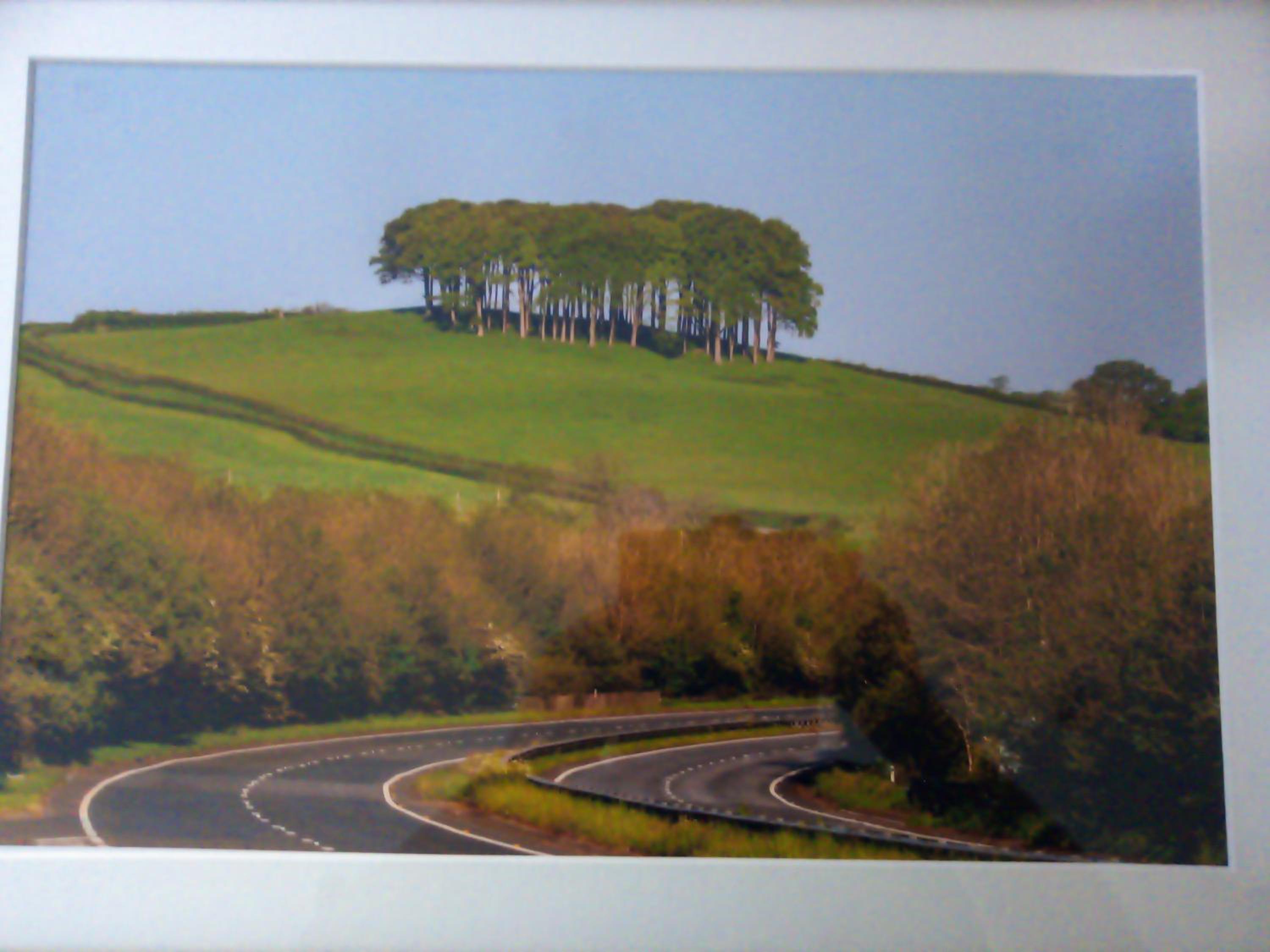 Fentrigan Manor Farm & Holiday Cottages