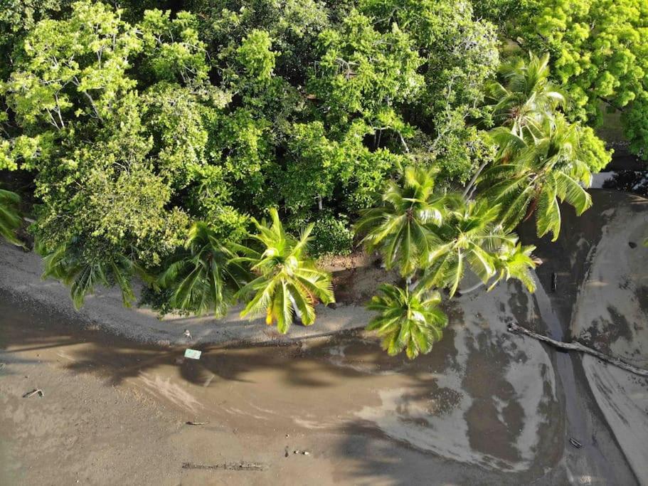 Eco Lodge near Corcovado, 400m to Beach on a Peaceful Private Reserve