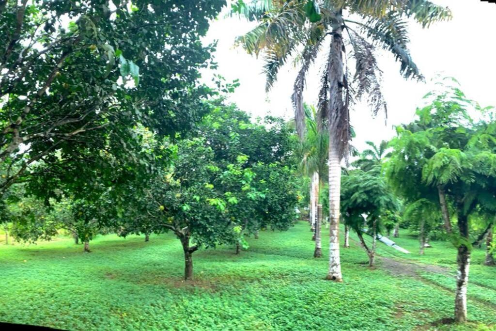 Eco Lodge near Corcovado, 400m to Beach on a Peaceful Private Reserve