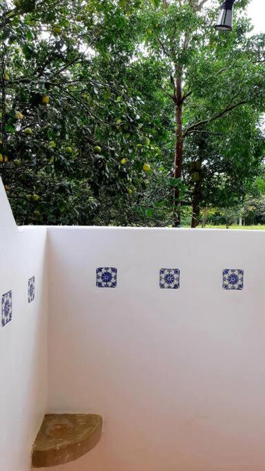 Eco Lodge near Corcovado, 400m to Beach on a Peaceful Private Reserve