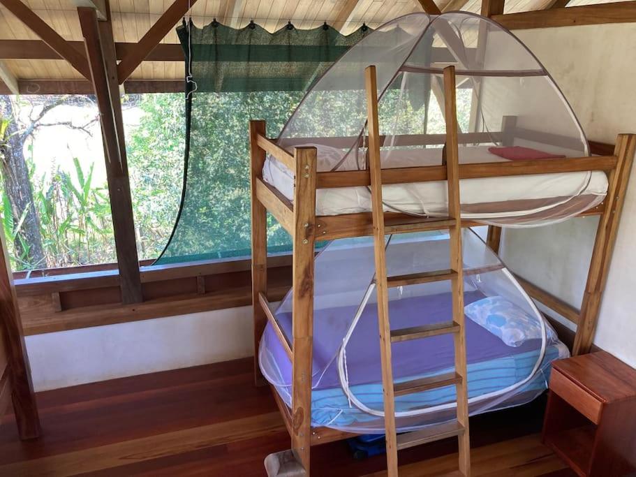 Eco Lodge near Corcovado, 400m to Beach on a Peaceful Private Reserve