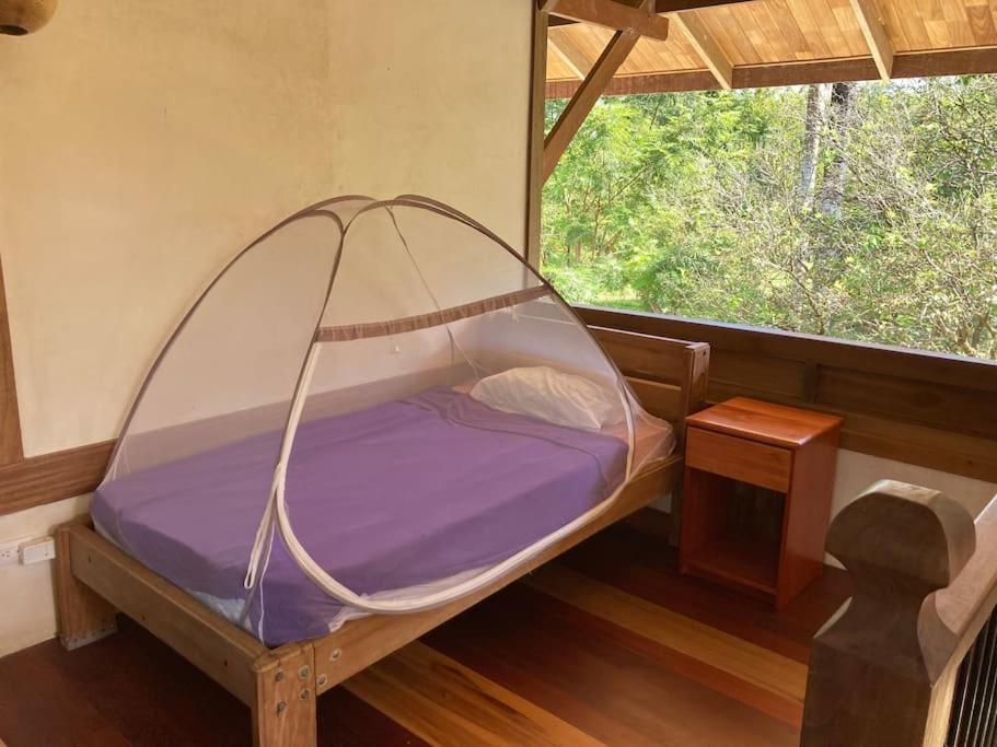 Eco Lodge near Corcovado, 400m to Beach on a Peaceful Private Reserve