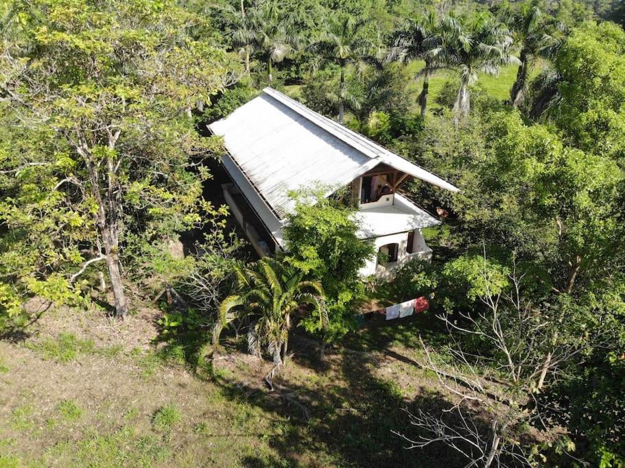 Eco Lodge near Corcovado, 400m to Beach on a Peaceful Private Reserve
