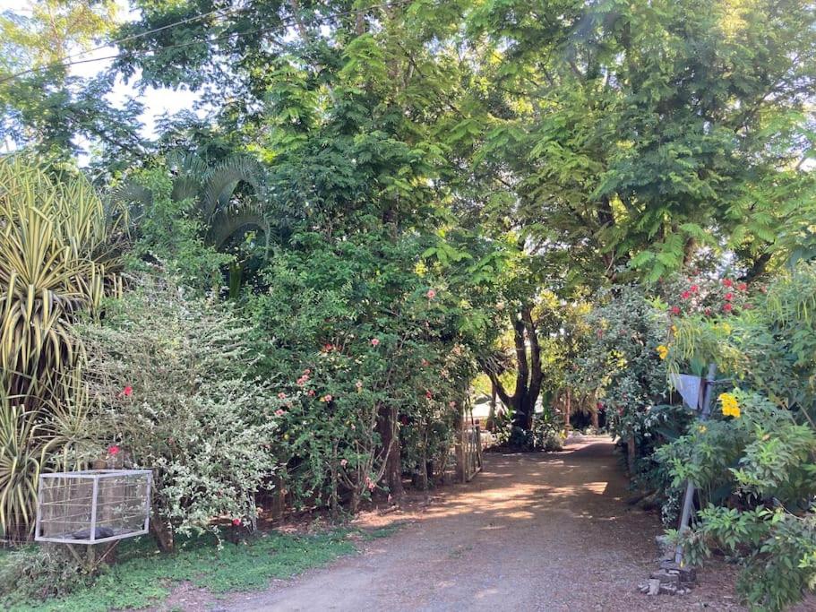 Eco Lodge near Corcovado, 400m to Beach on a Peaceful Private Reserve