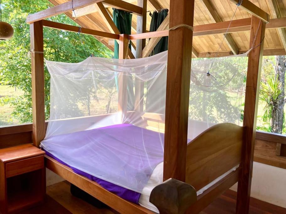 Eco Lodge near Corcovado, 400m to Beach on a Peaceful Private Reserve