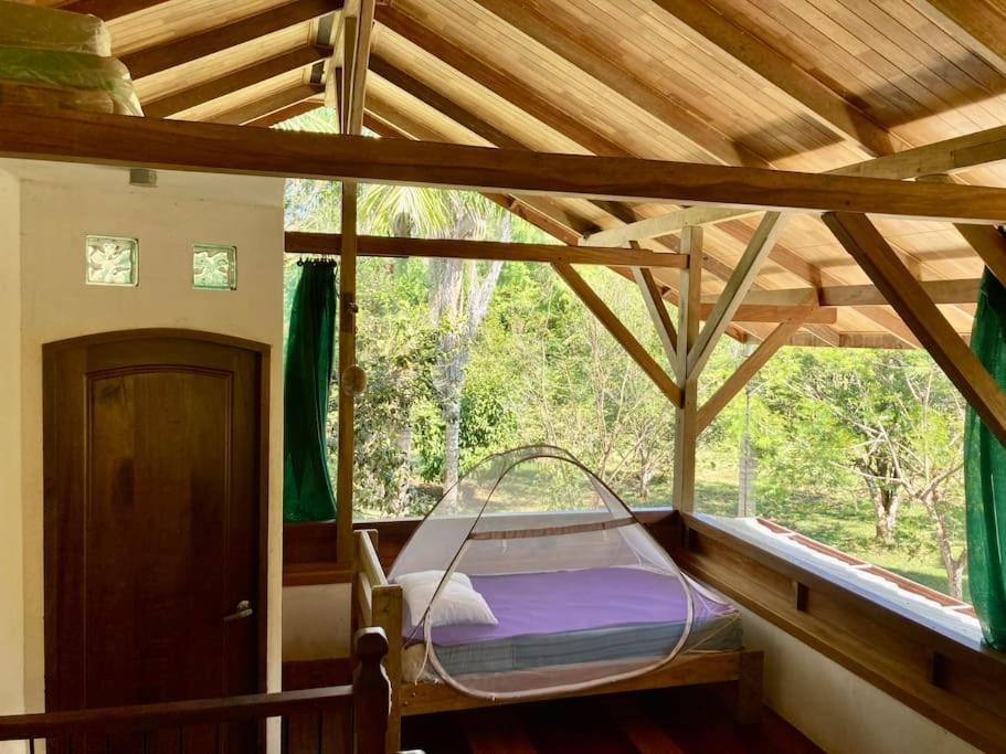 Eco Lodge near Corcovado, 400m to Beach on a Peaceful Private Reserve