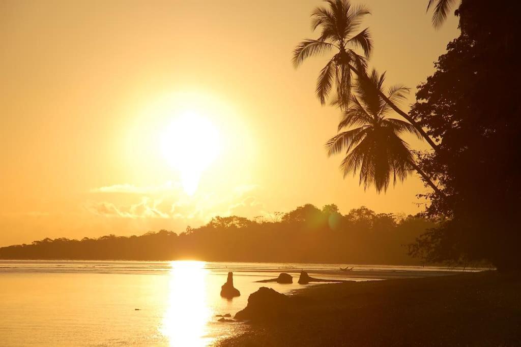 Eco Lodge near Corcovado, 400m to Beach on a Peaceful Private Reserve