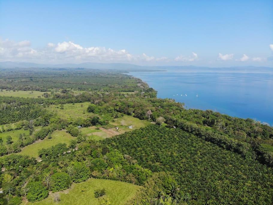 Eco Lodge near Corcovado, 400m to Beach on a Peaceful Private Reserve