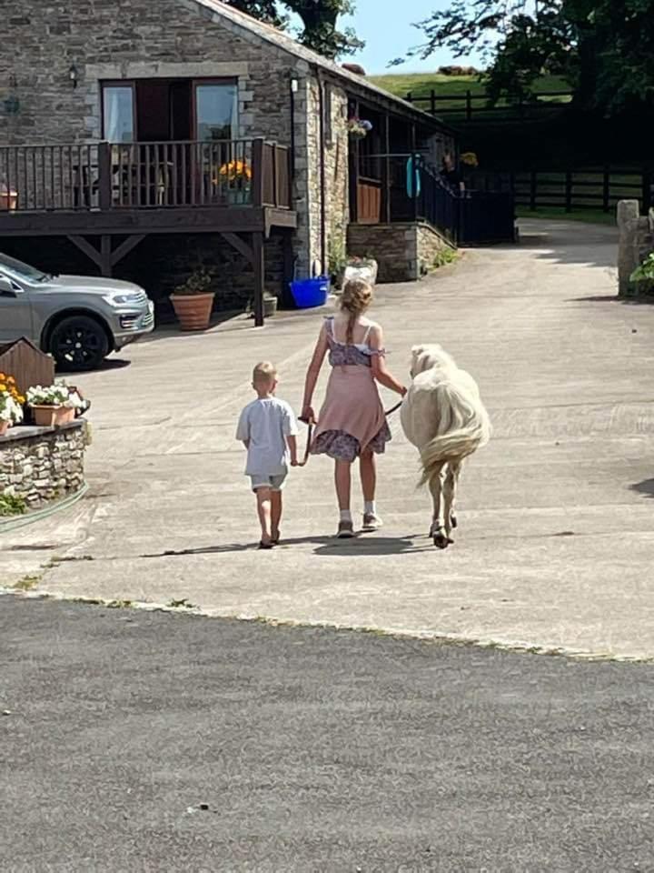 Fentrigan Manor Farm & Holiday Cottages