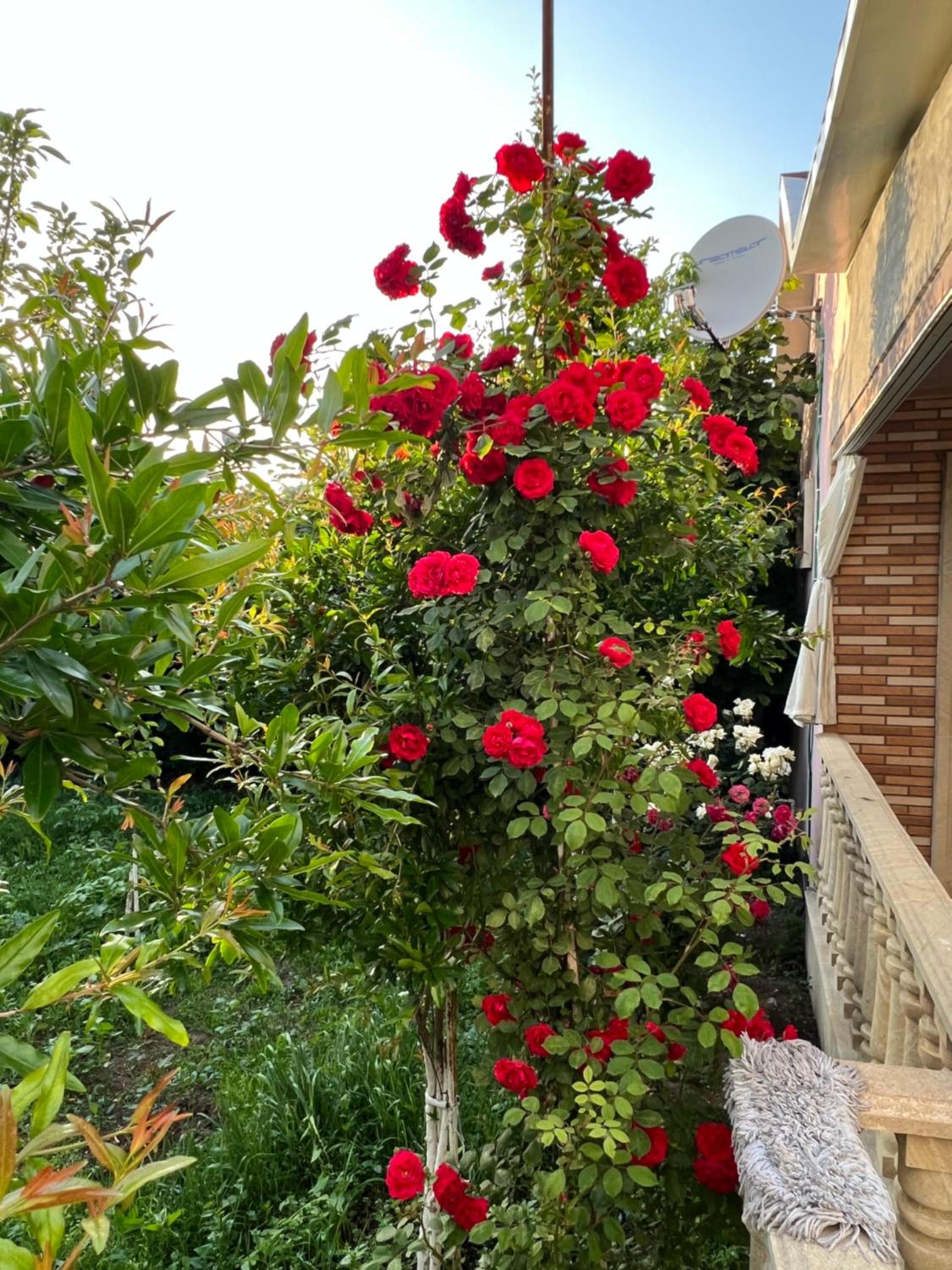 Luxury Villa in Ismayilli