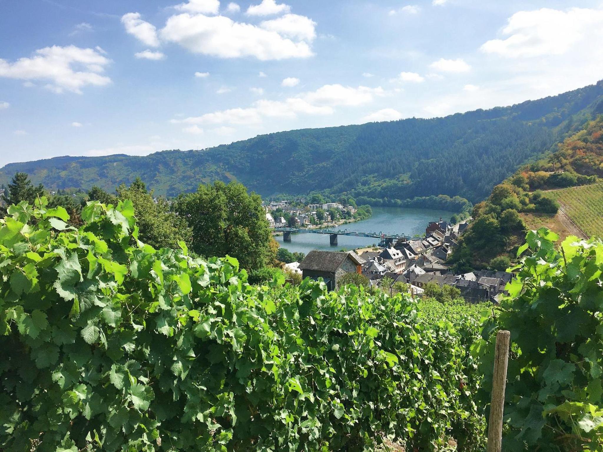 Ferienwohnungen-Traben-Trarbach