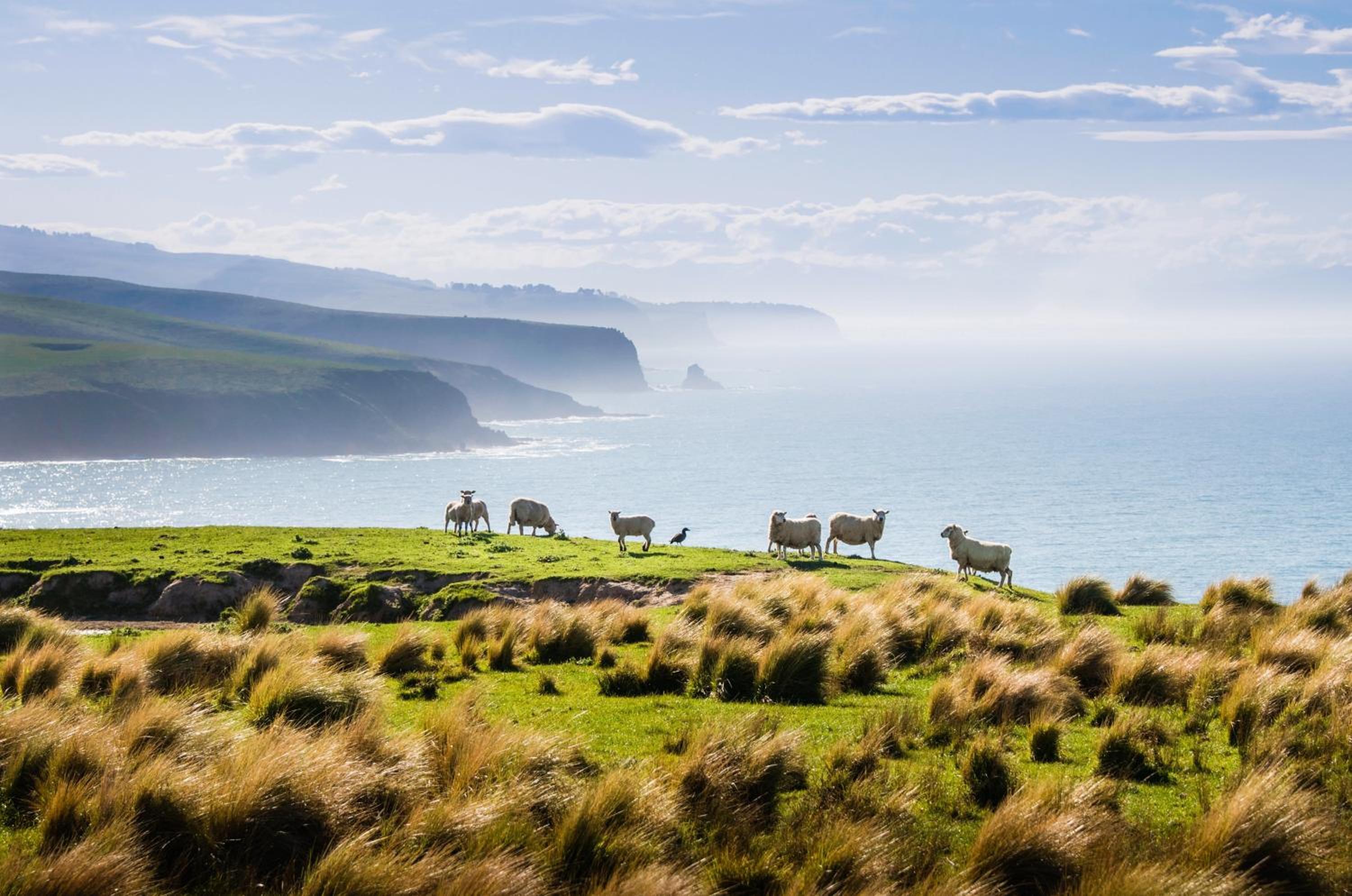 Annandale Coastal Farm Escape & Luxury Villa Collection