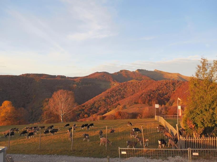 Studio on Monte Generoso