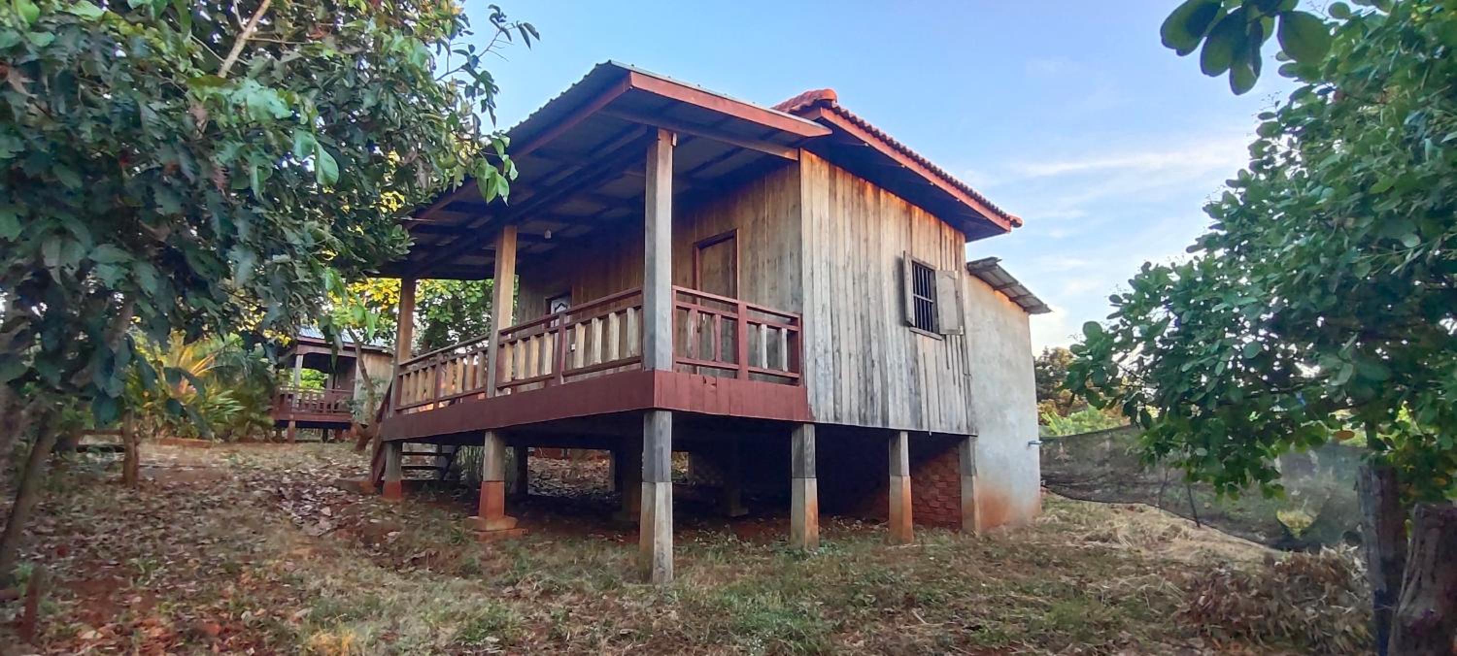 Tree Trails Homestay & Offers Jungle Trekk-Scooter For Rental view 5