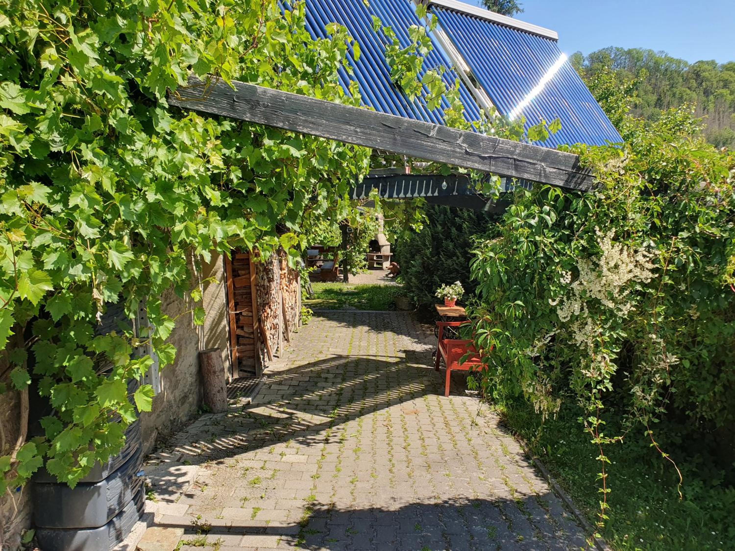 Das grüne Haus am Hexenstieg