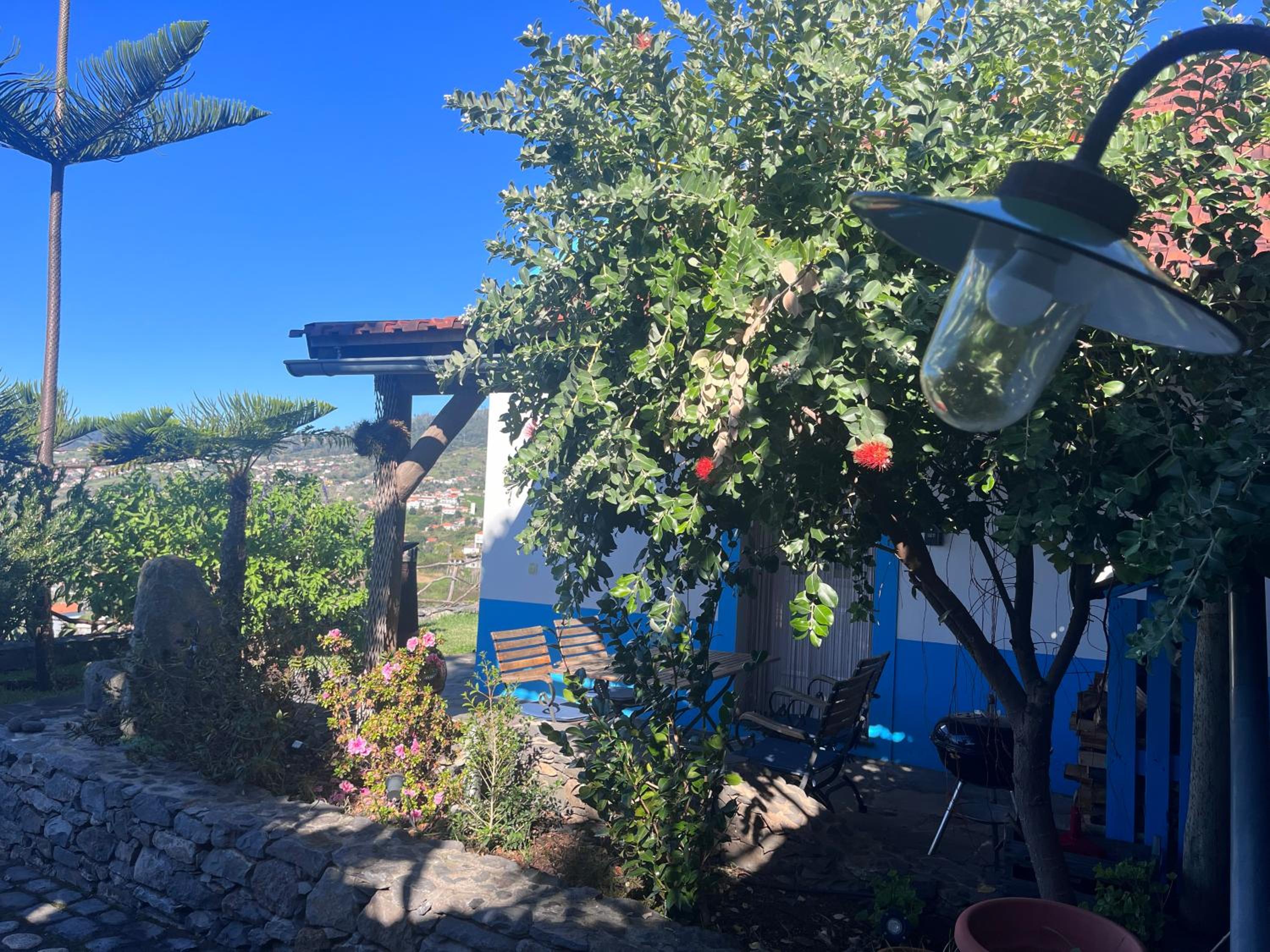 Lucky Lemons - Boutique Houses Madeira - 2 view 5