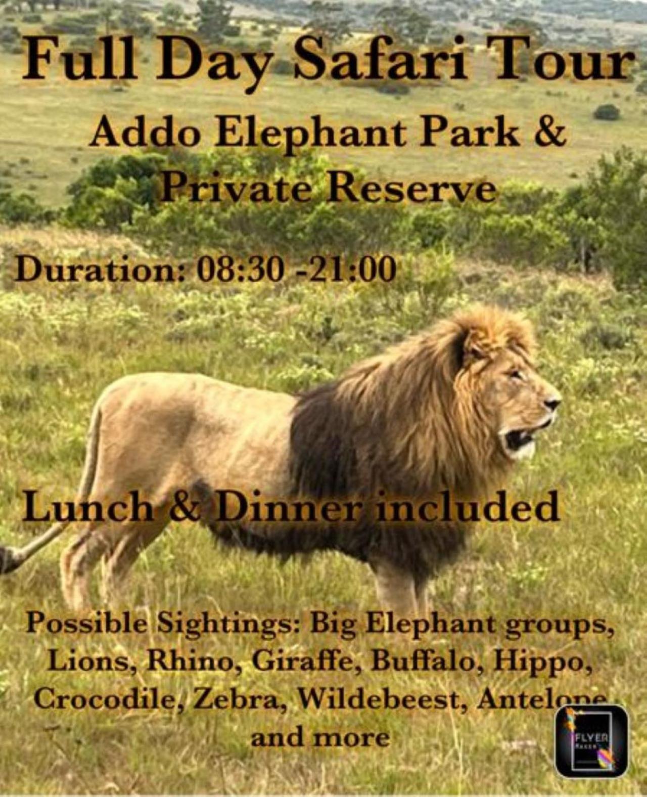 Homestead Bed and Breakfast - Travel Addo Group
