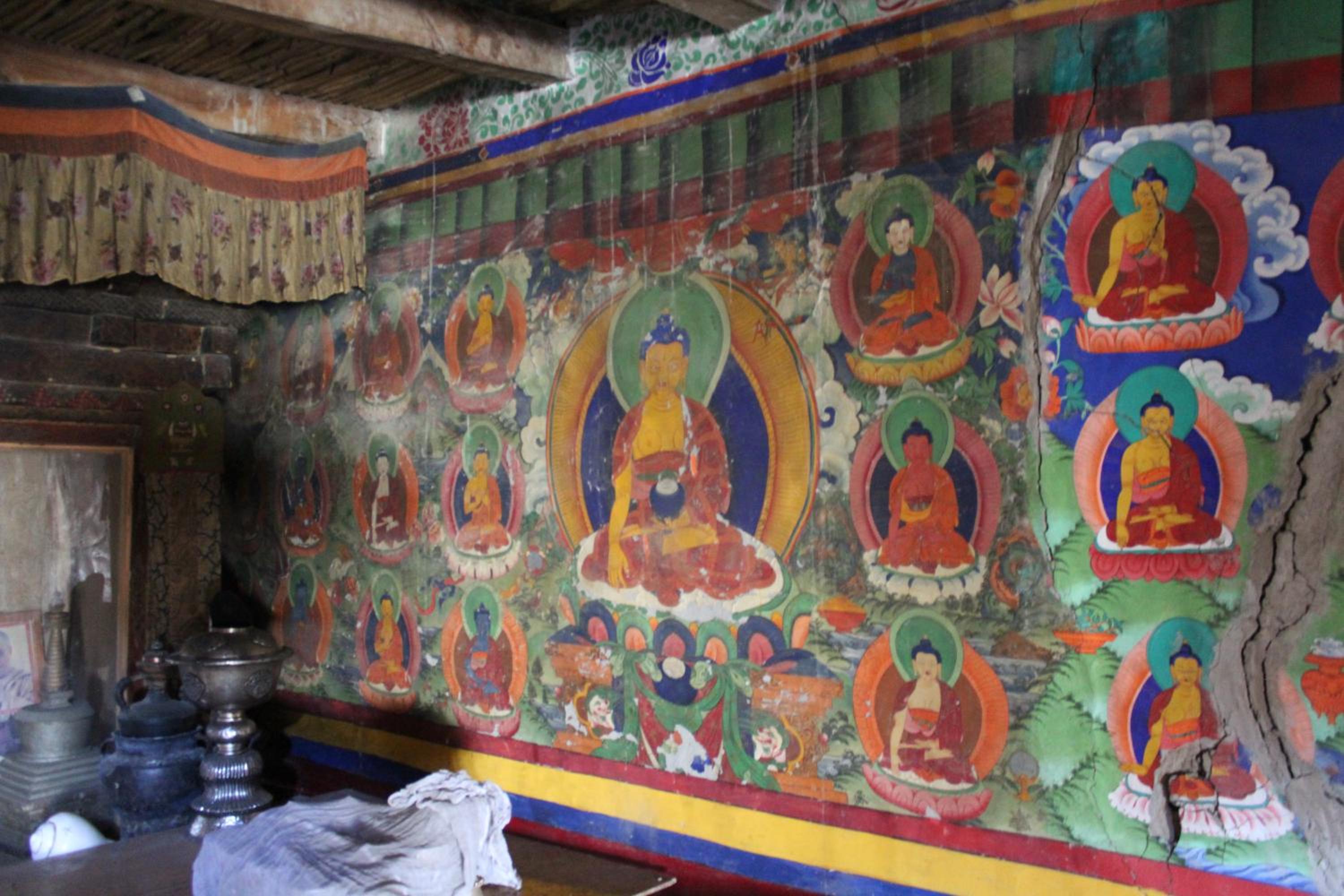 Karsha Eco Homestay - Zanskar view 5