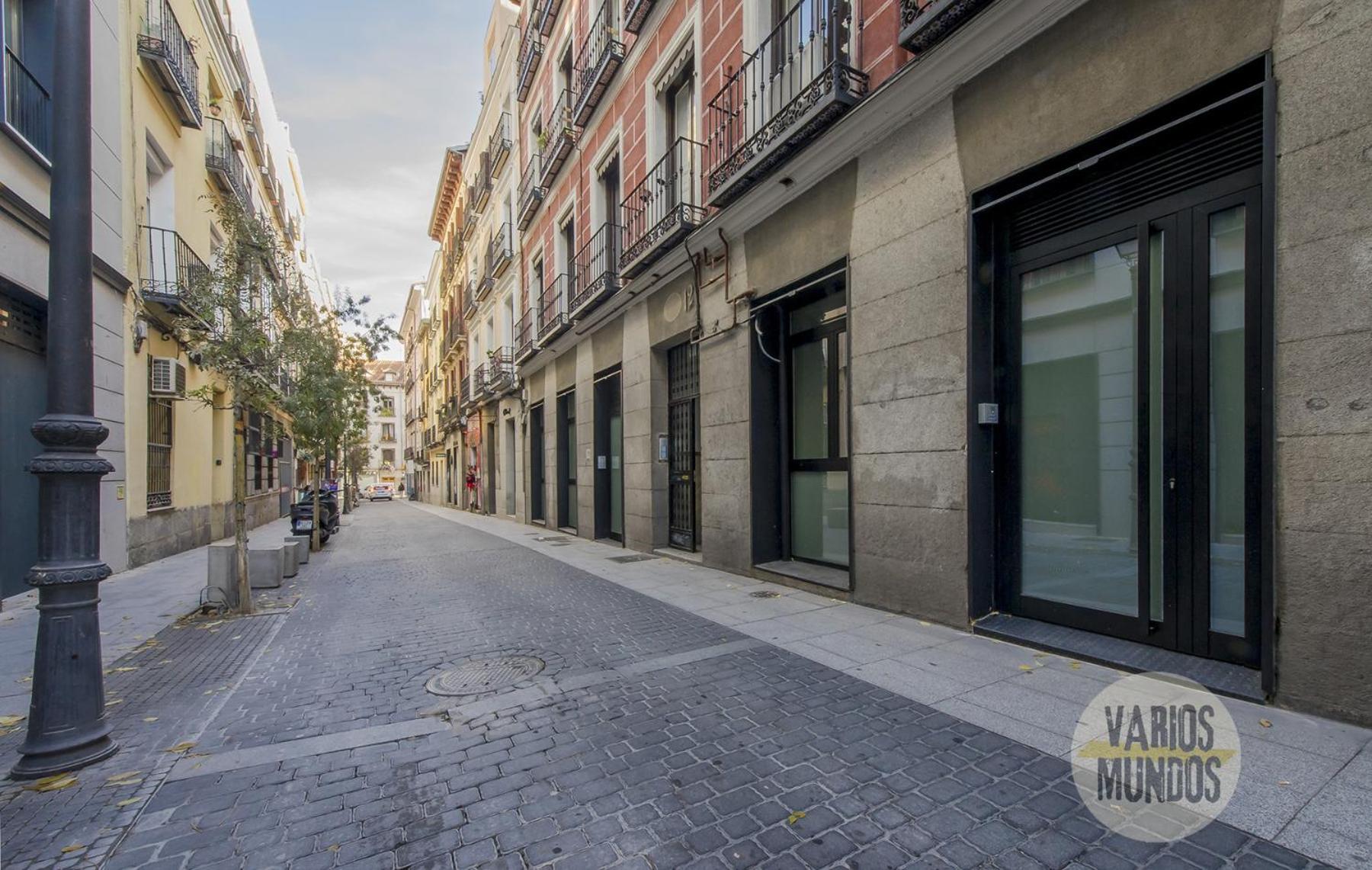 Madrid Vacations - Central apt para 10pax en la calle Hernan Cortes-Centro - Property Image 2