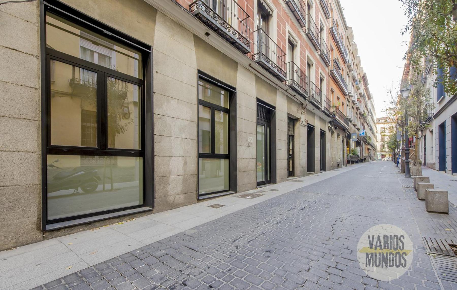 Madrid Vacations - Central apt para 10pax en la calle Hernan Cortes-Centro - Property Image 4