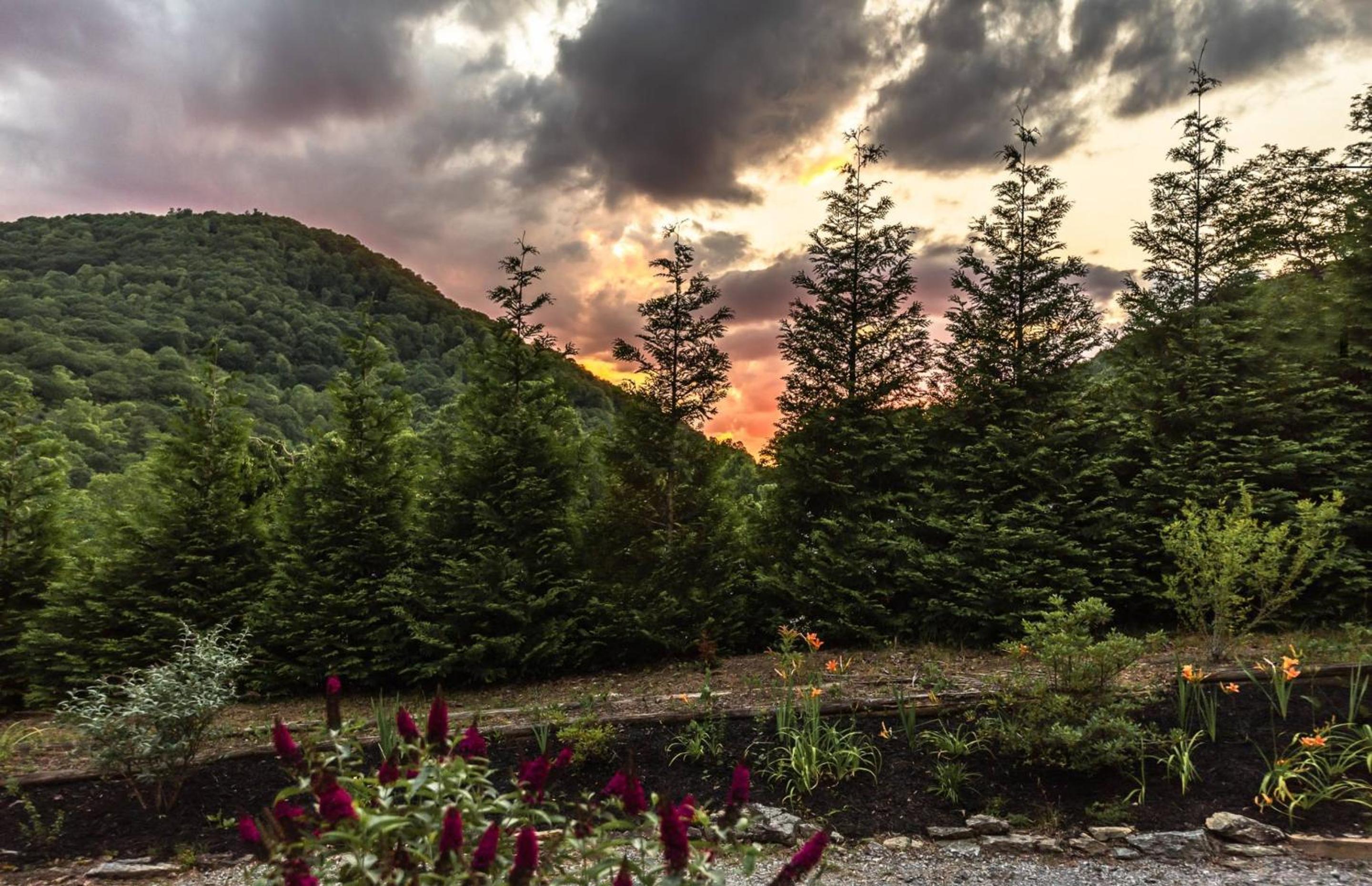 Hickory Nut Hideaway by AvantStay Mountain Views