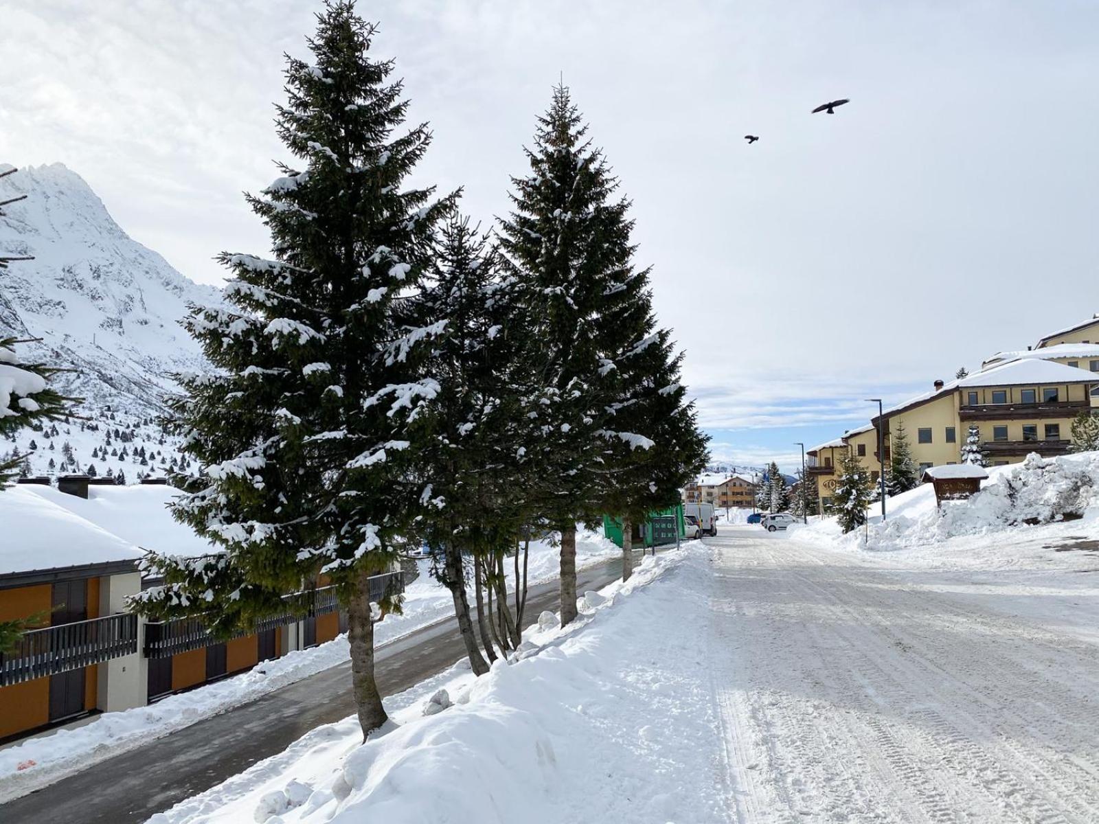 Fiocco di Neve Home photo 3