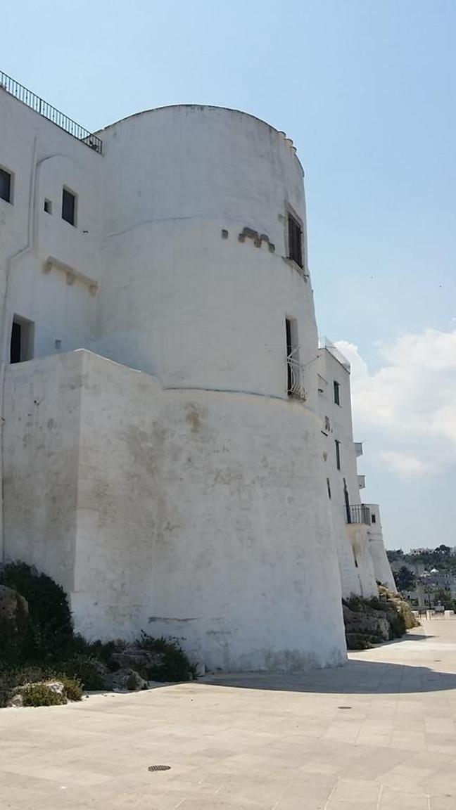 Photo 29