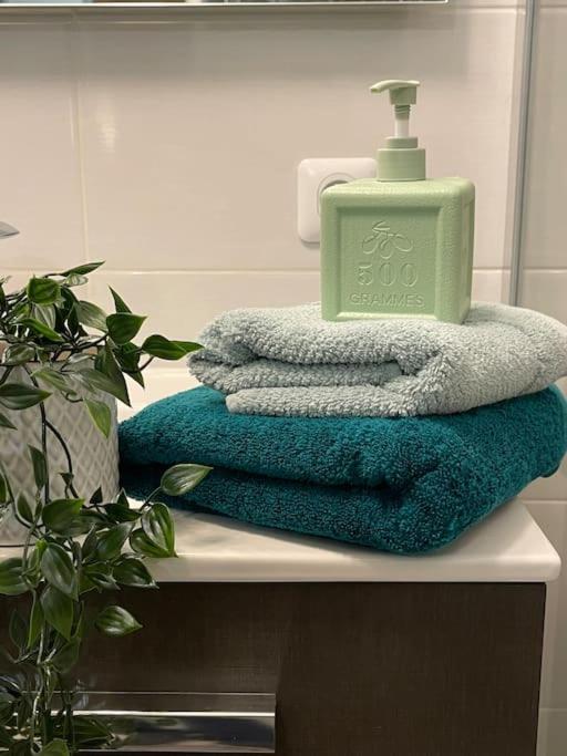 Appartement familial 8 personnes proche de Disney et Paris