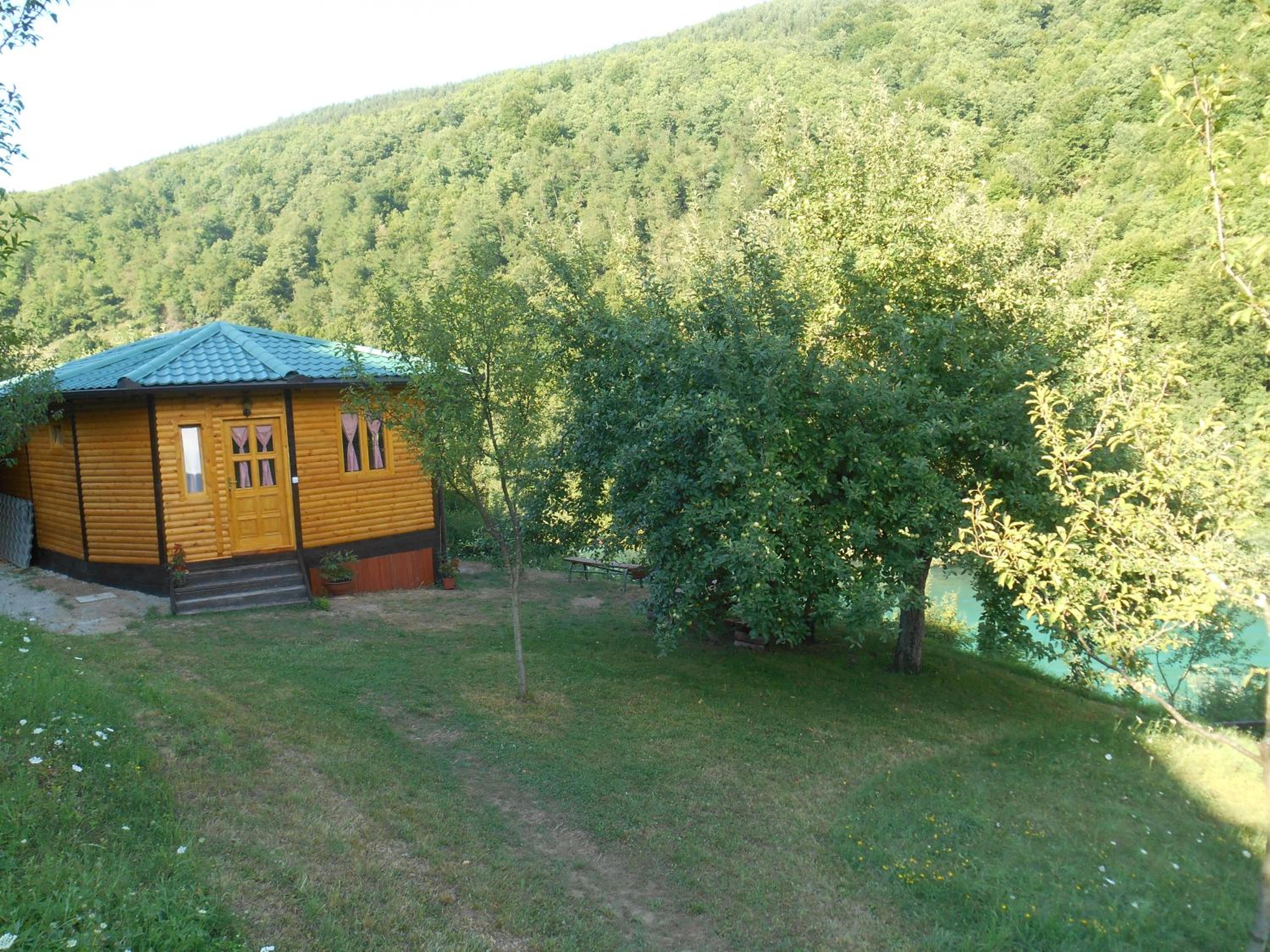 Photo 47