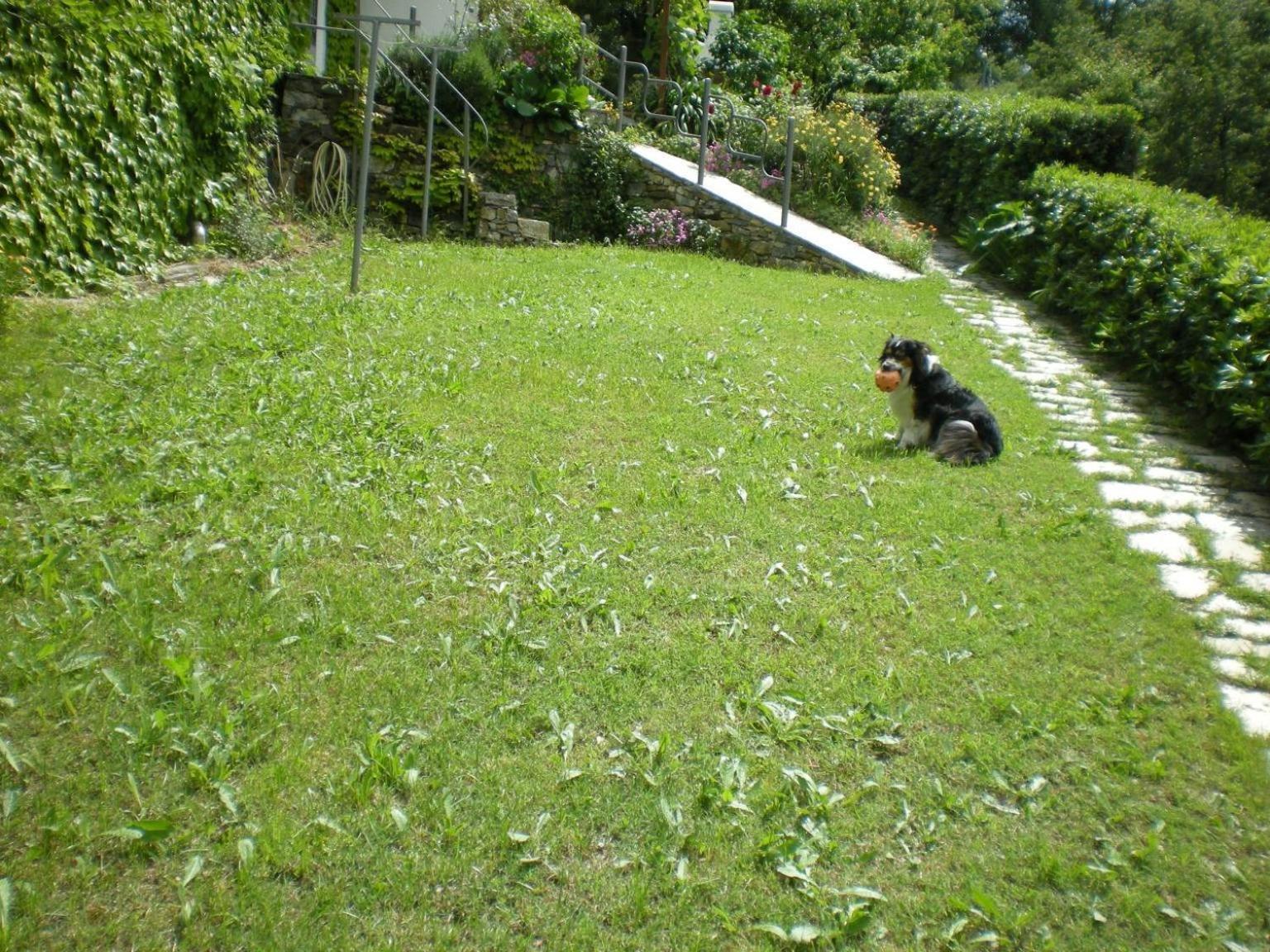 Photo 16