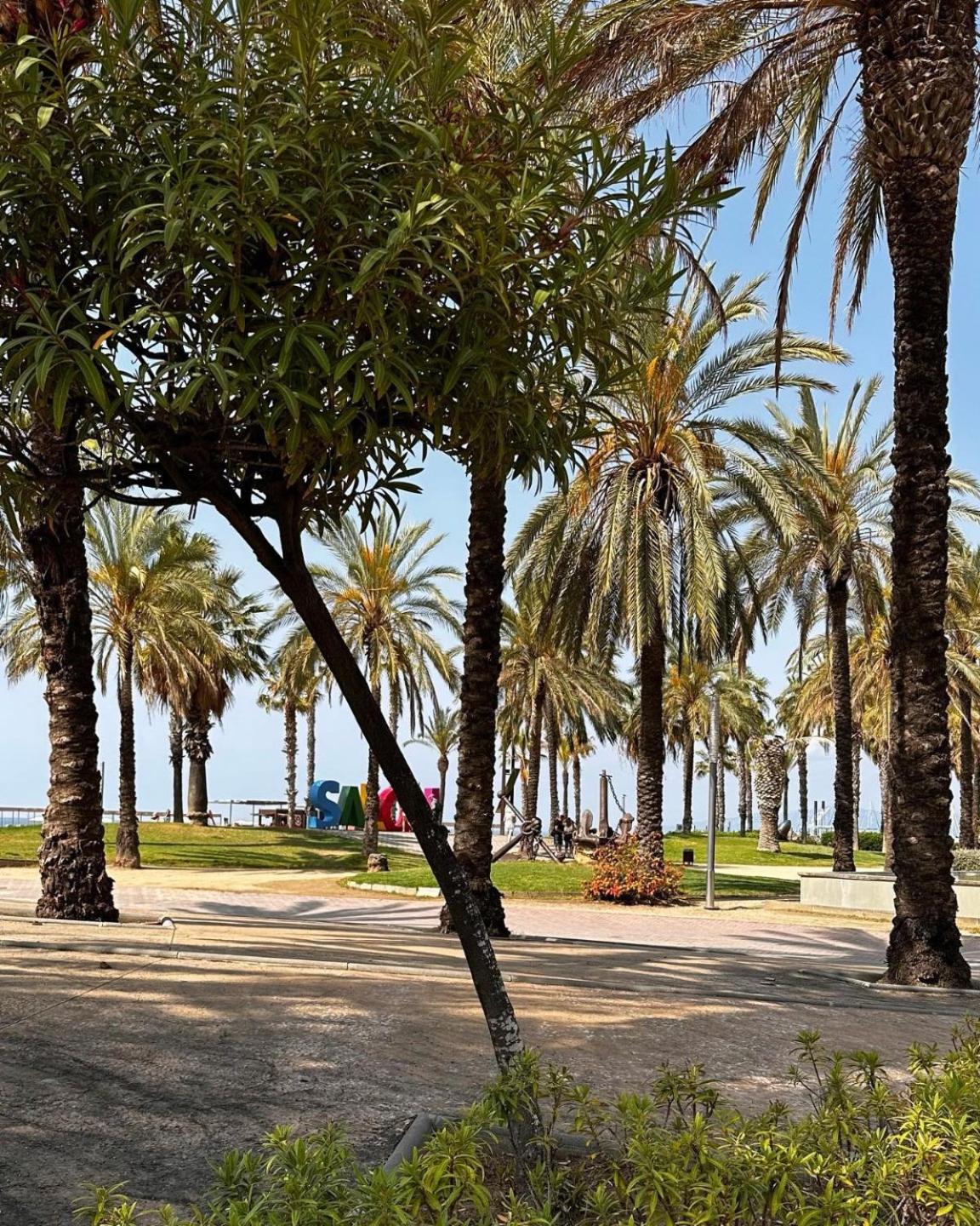 RHASIMAR SALOU CENTRO
