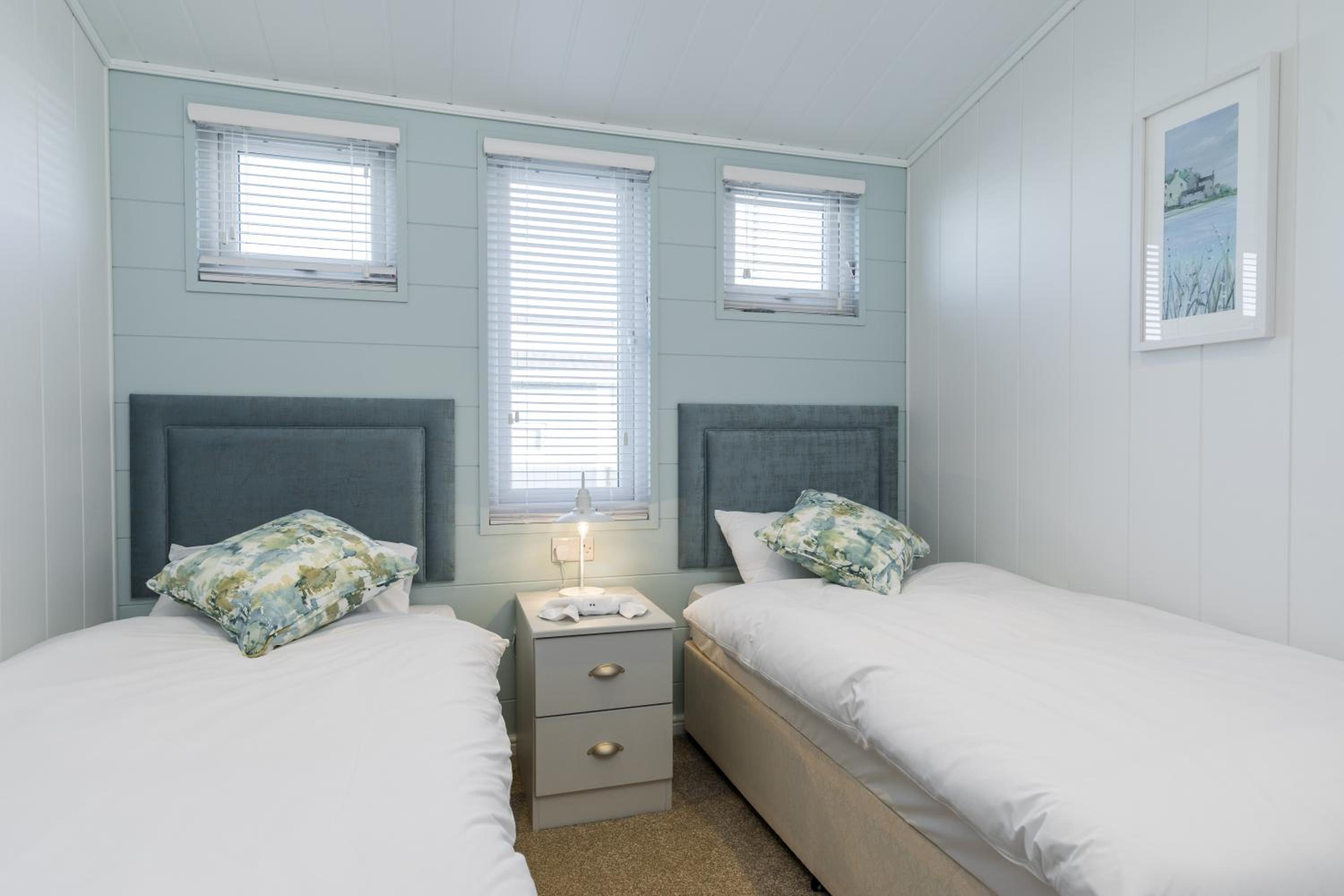 Luxury Harlyn Plus Lodge with Hot Tub view 3